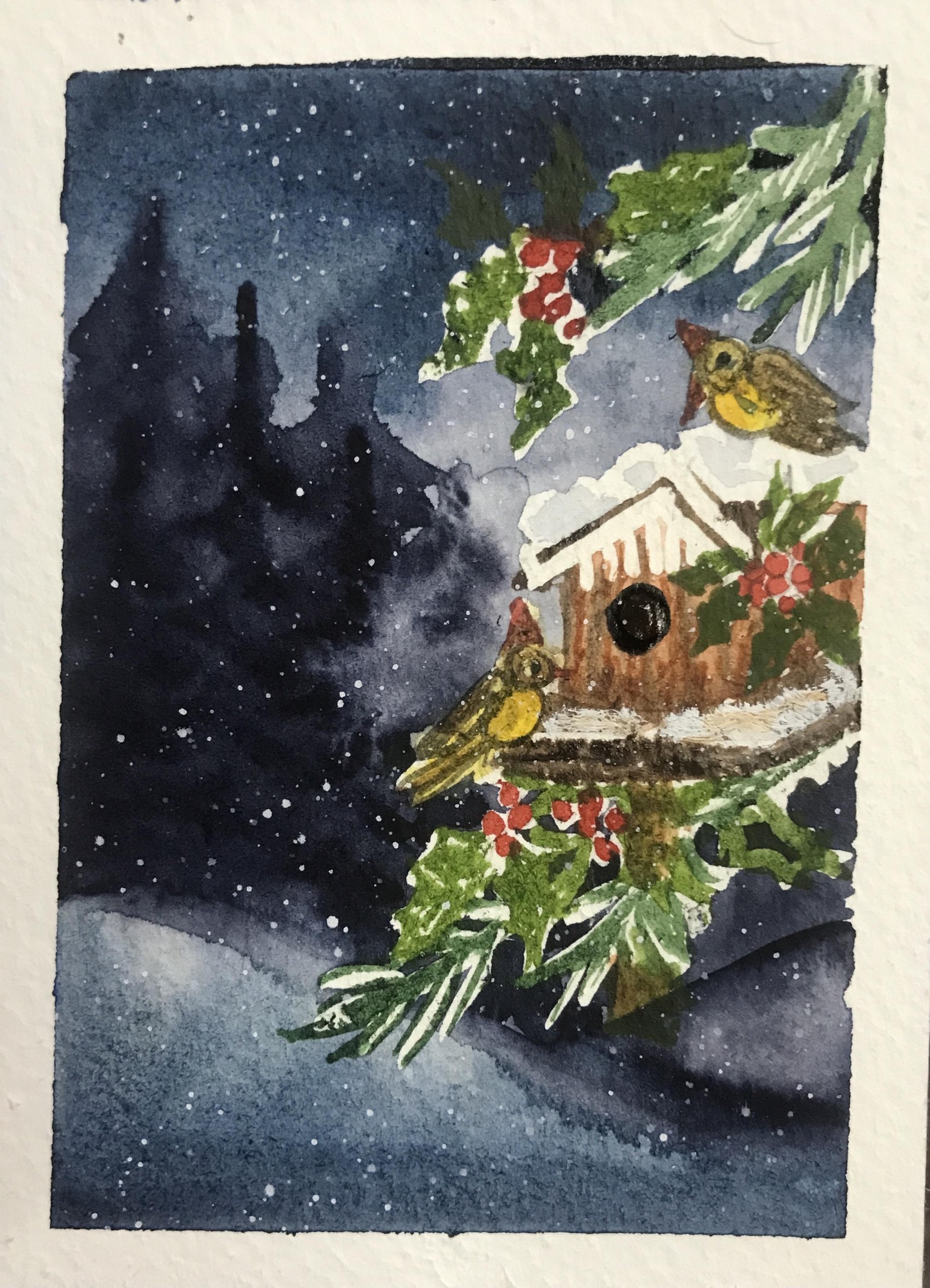 Winter Birdhouse - image 1 - student project