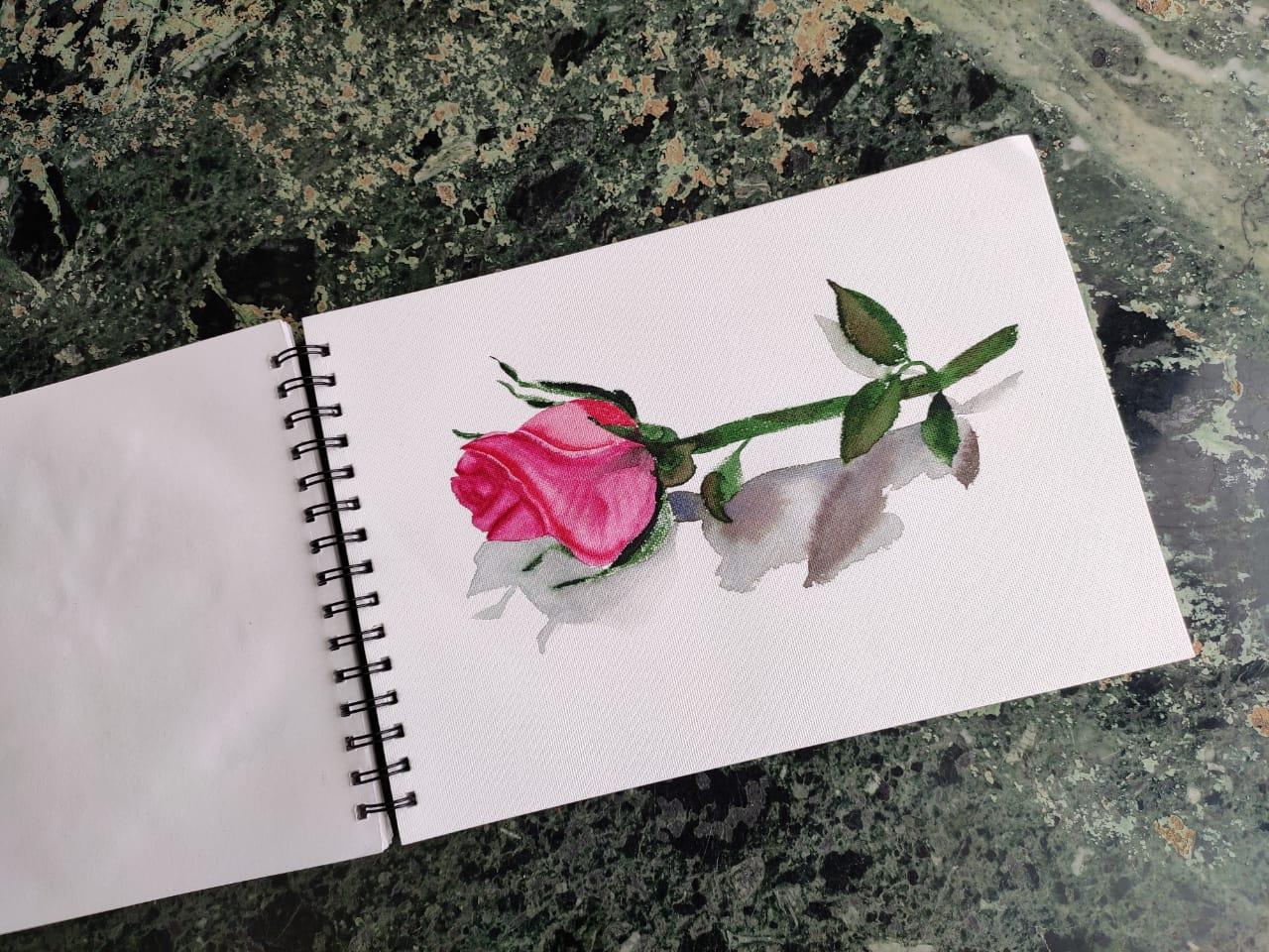 Summer Rose - image 1 - student project