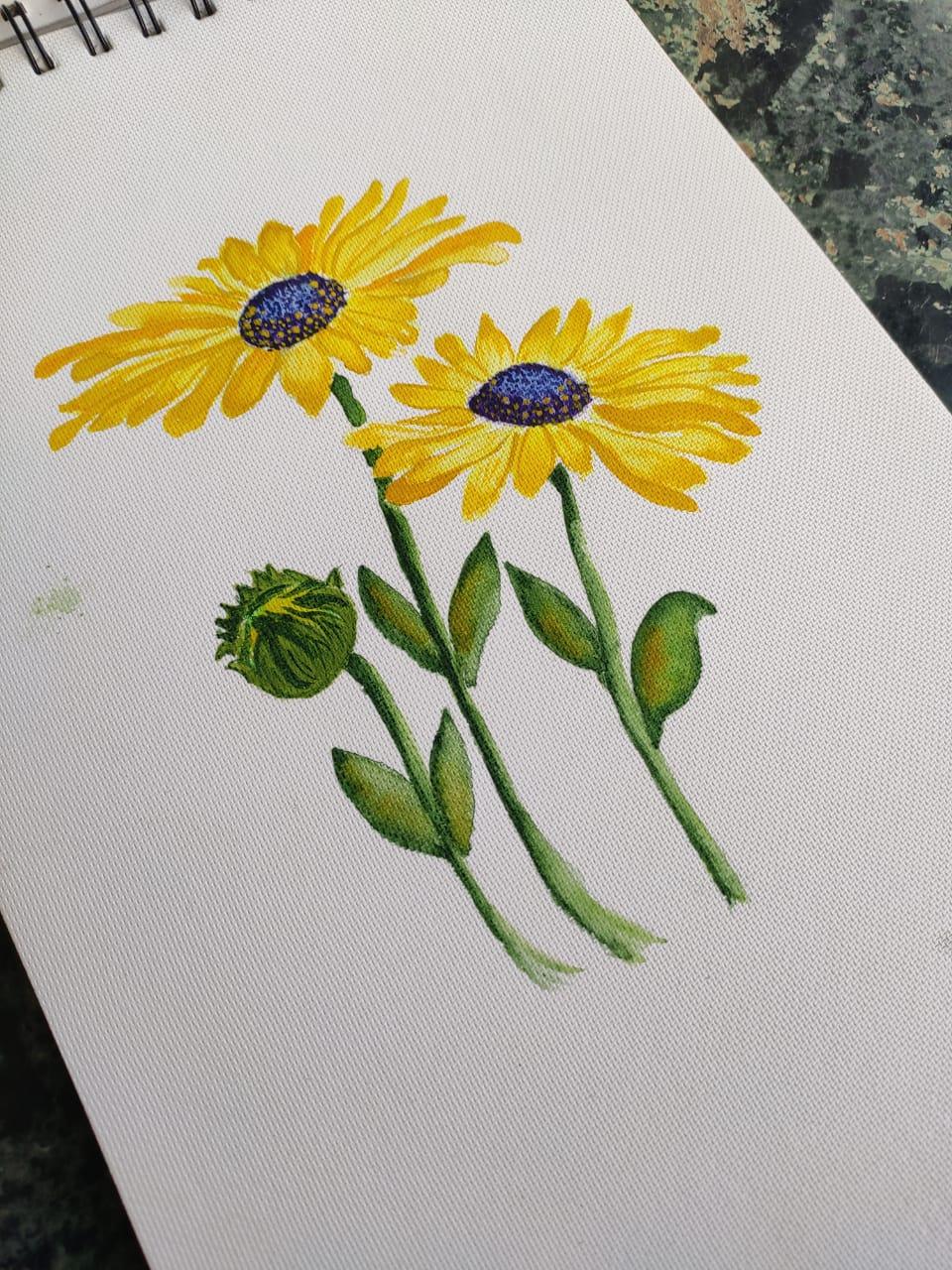 Sunshine to the Ground - image 1 - student project