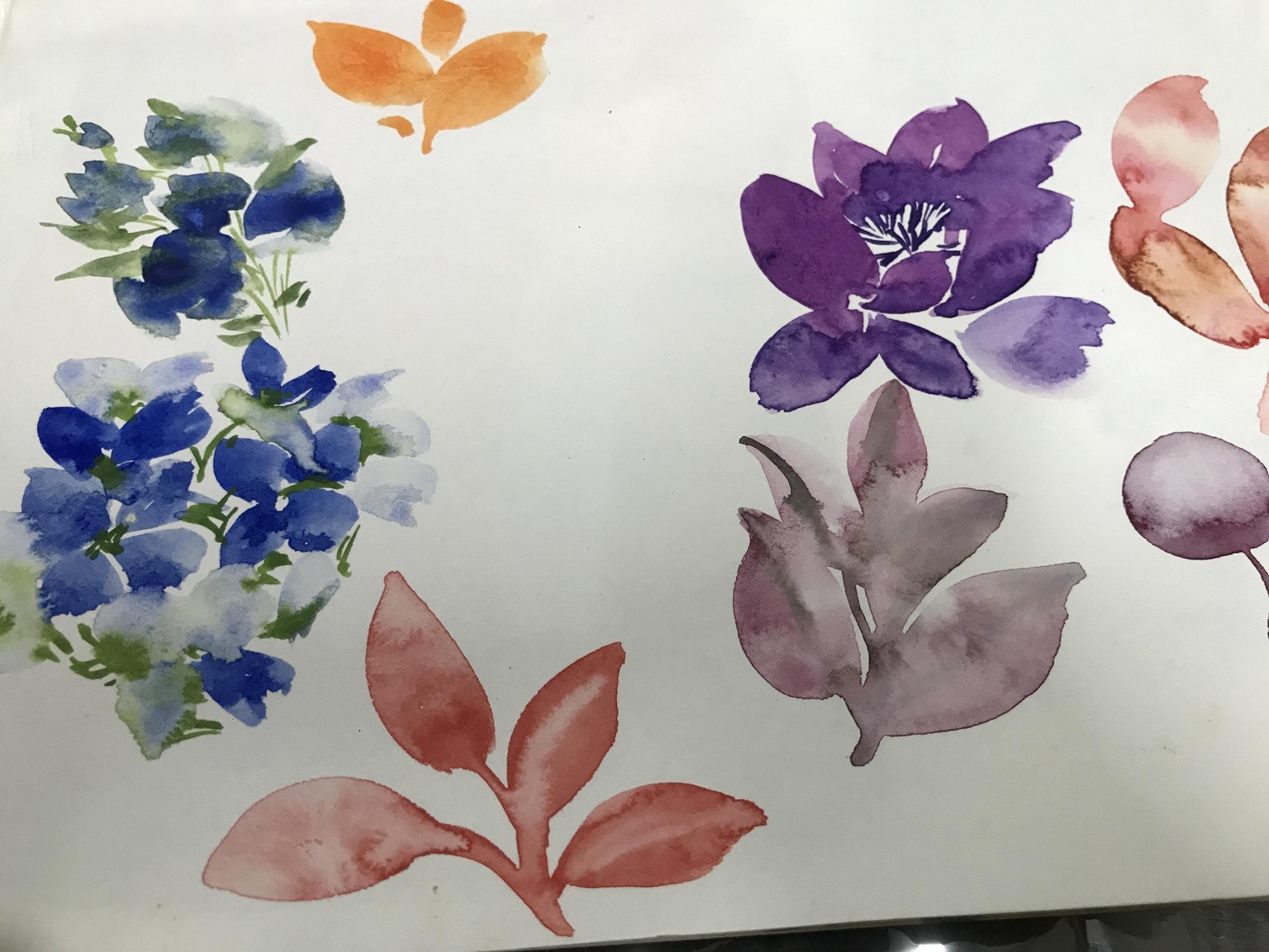 Loose floral play - image 7 - student project