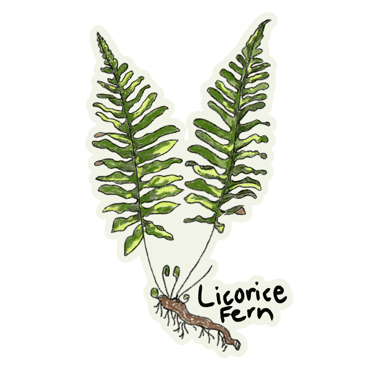 Indigenous Plant GIF - image 1 - student project