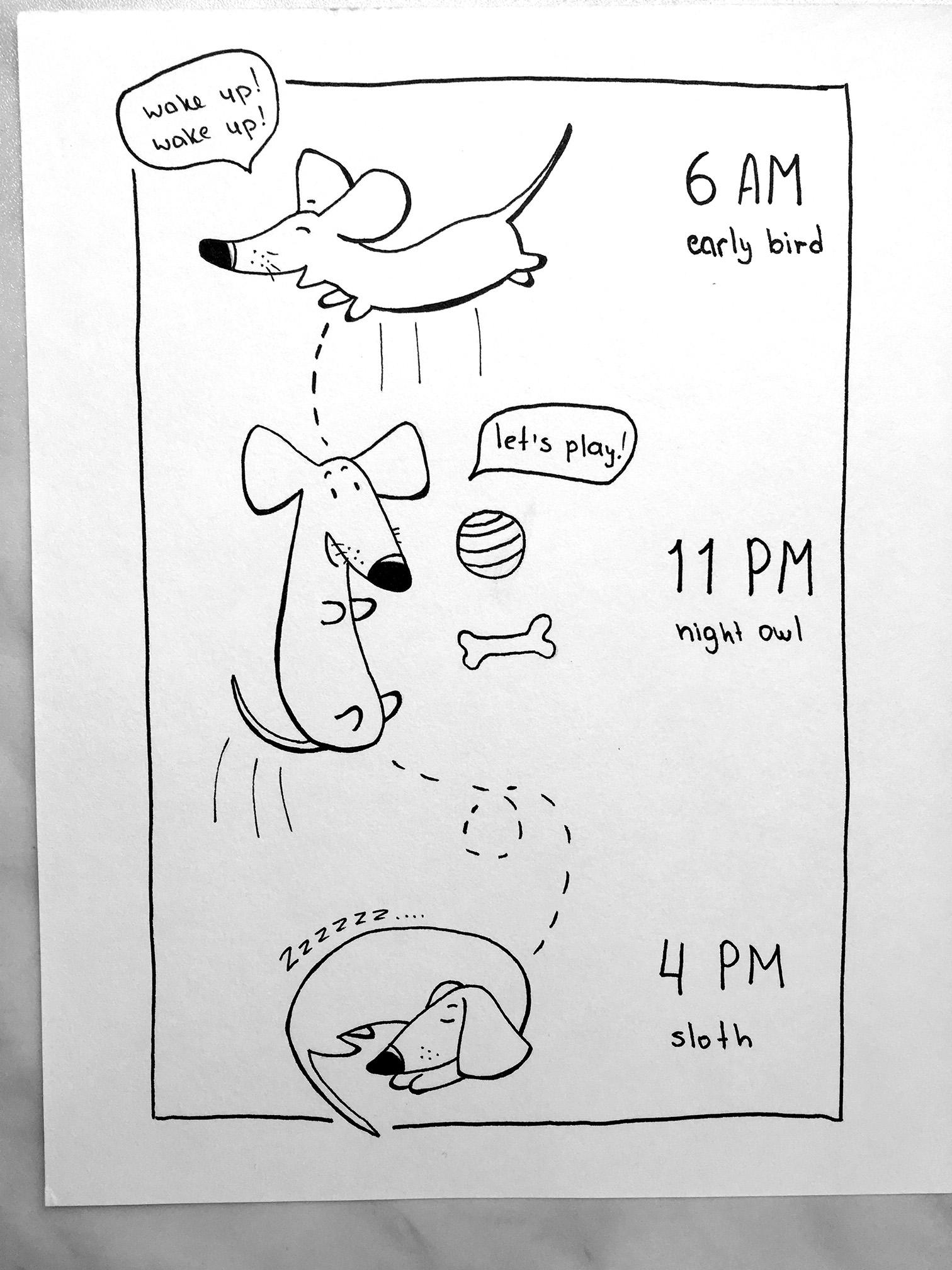 A little bit about my dachshund - image 2 - student project