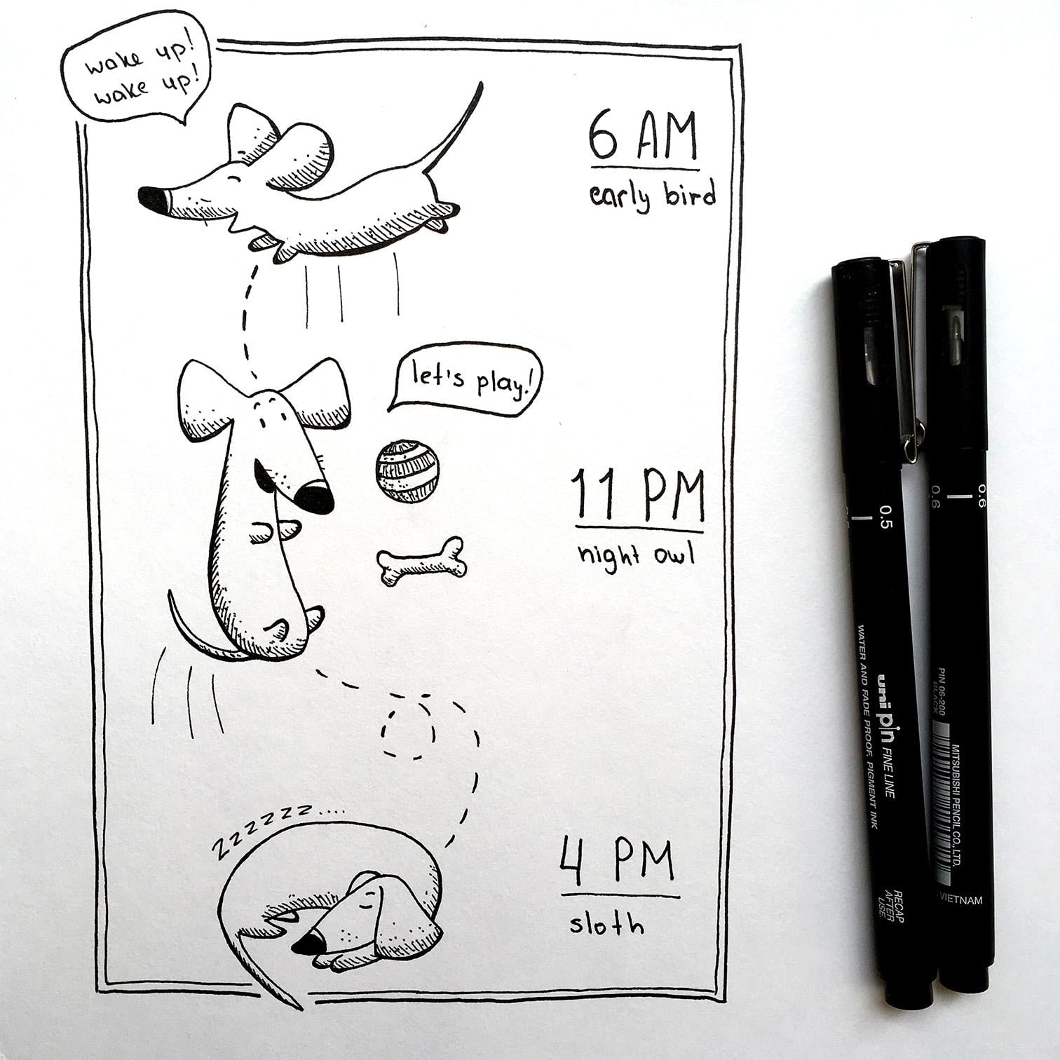 A little bit about my dachshund - image 3 - student project