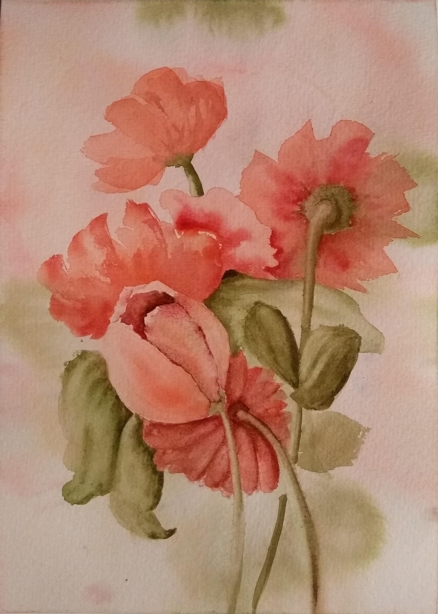 Floral Color Challenge - image 11 - student project