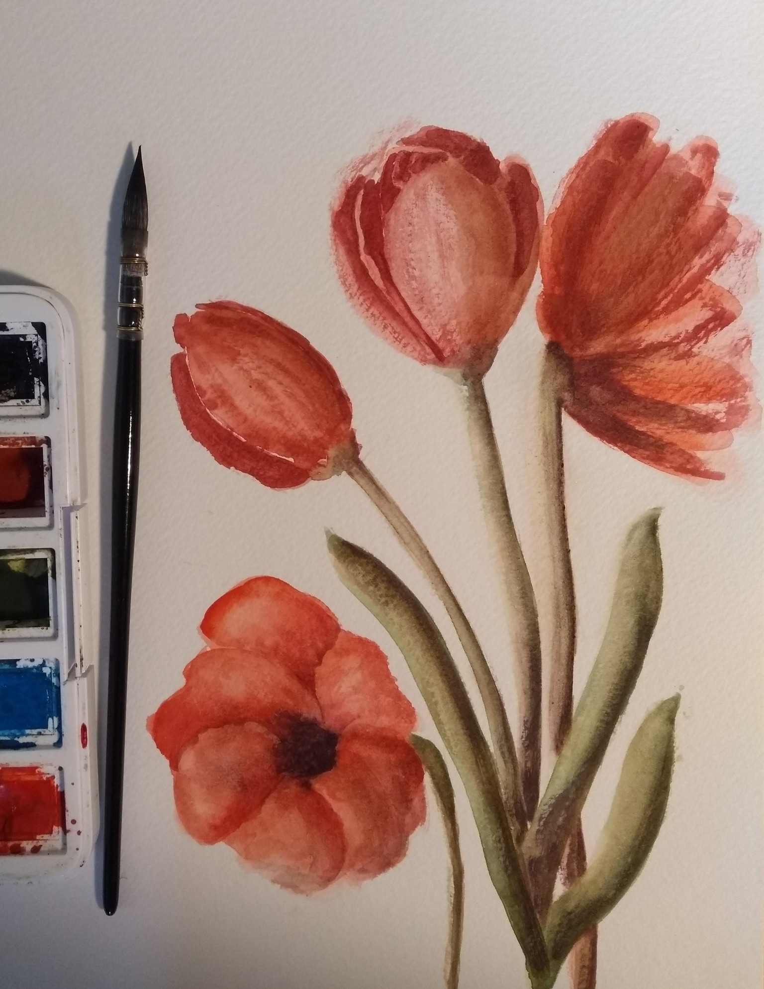 Floral Color Challenge - image 12 - student project