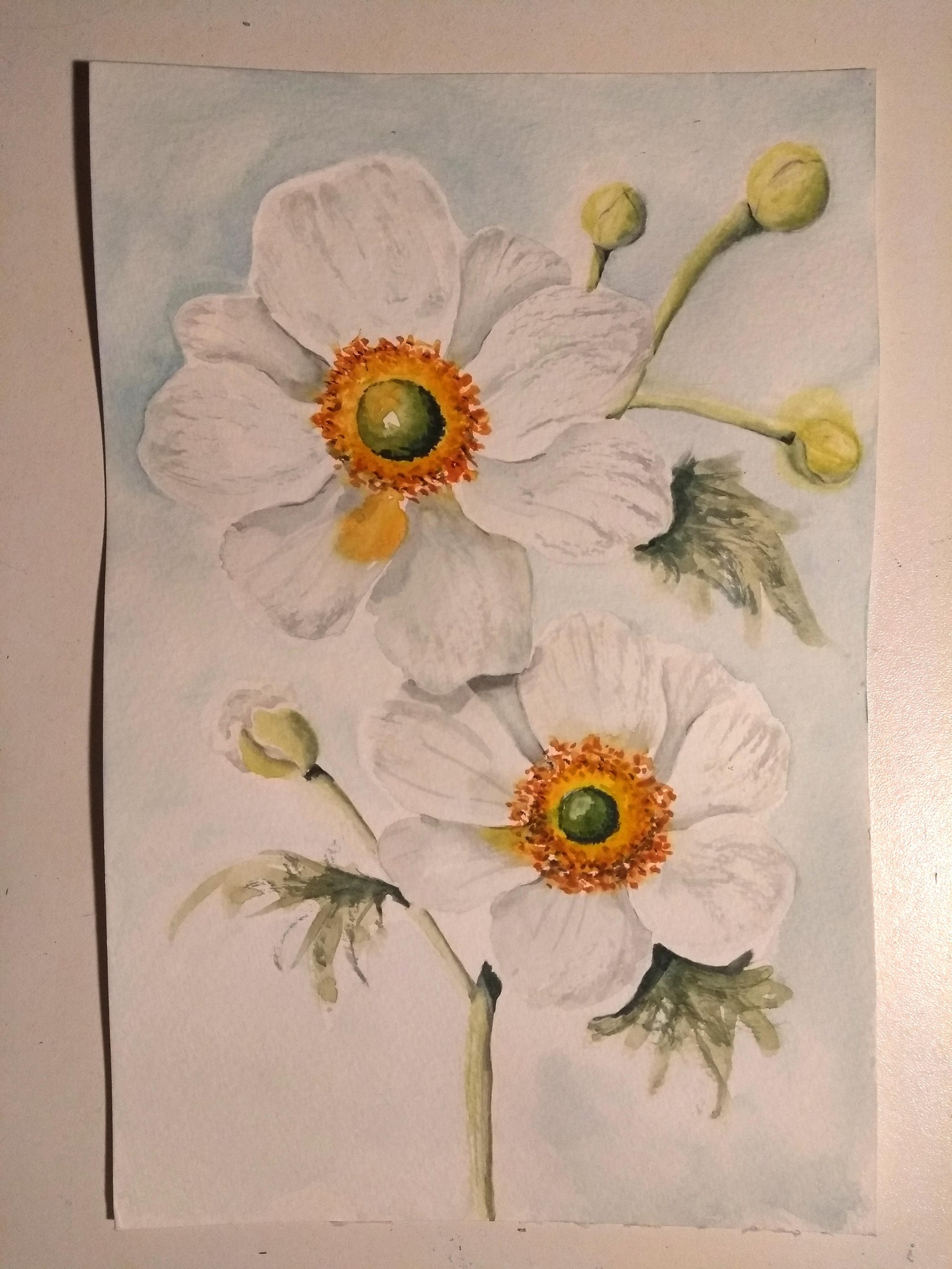 Floral Color Challenge - image 3 - student project