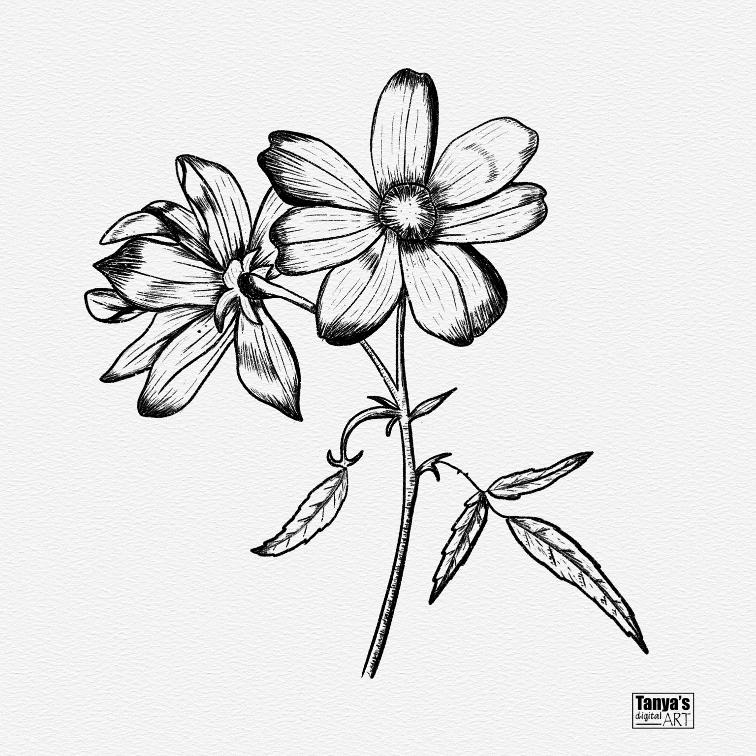 My flower stamp - image 1 - student project