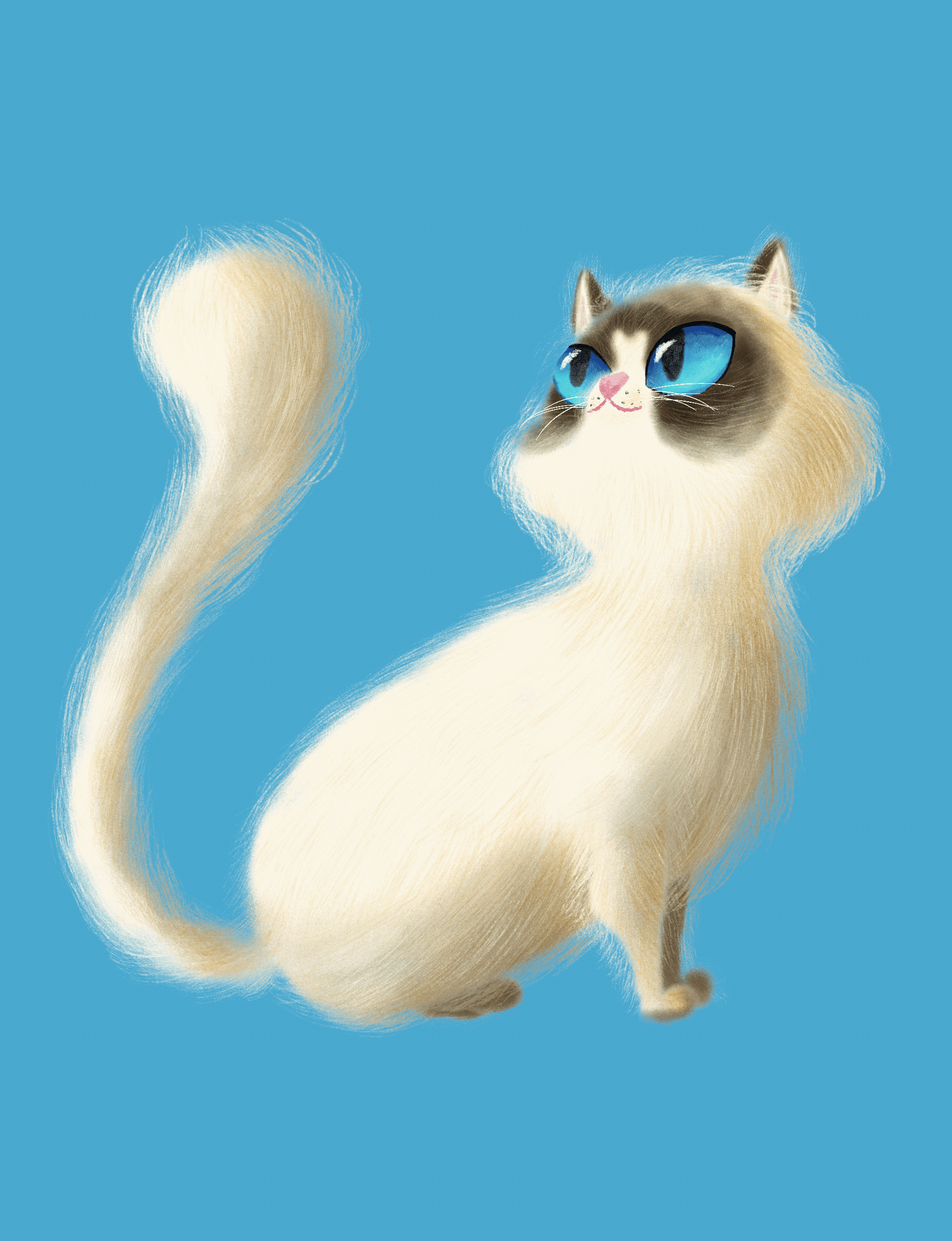 Cat - image 1 - student project