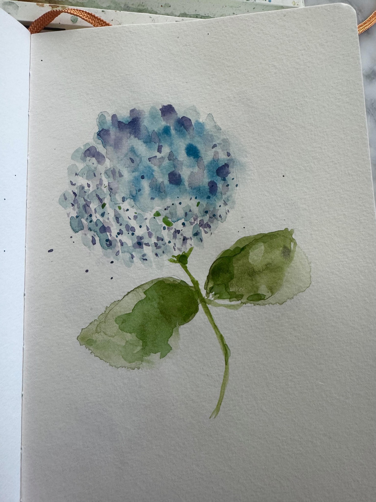 Hydrangea - image 1 - student project