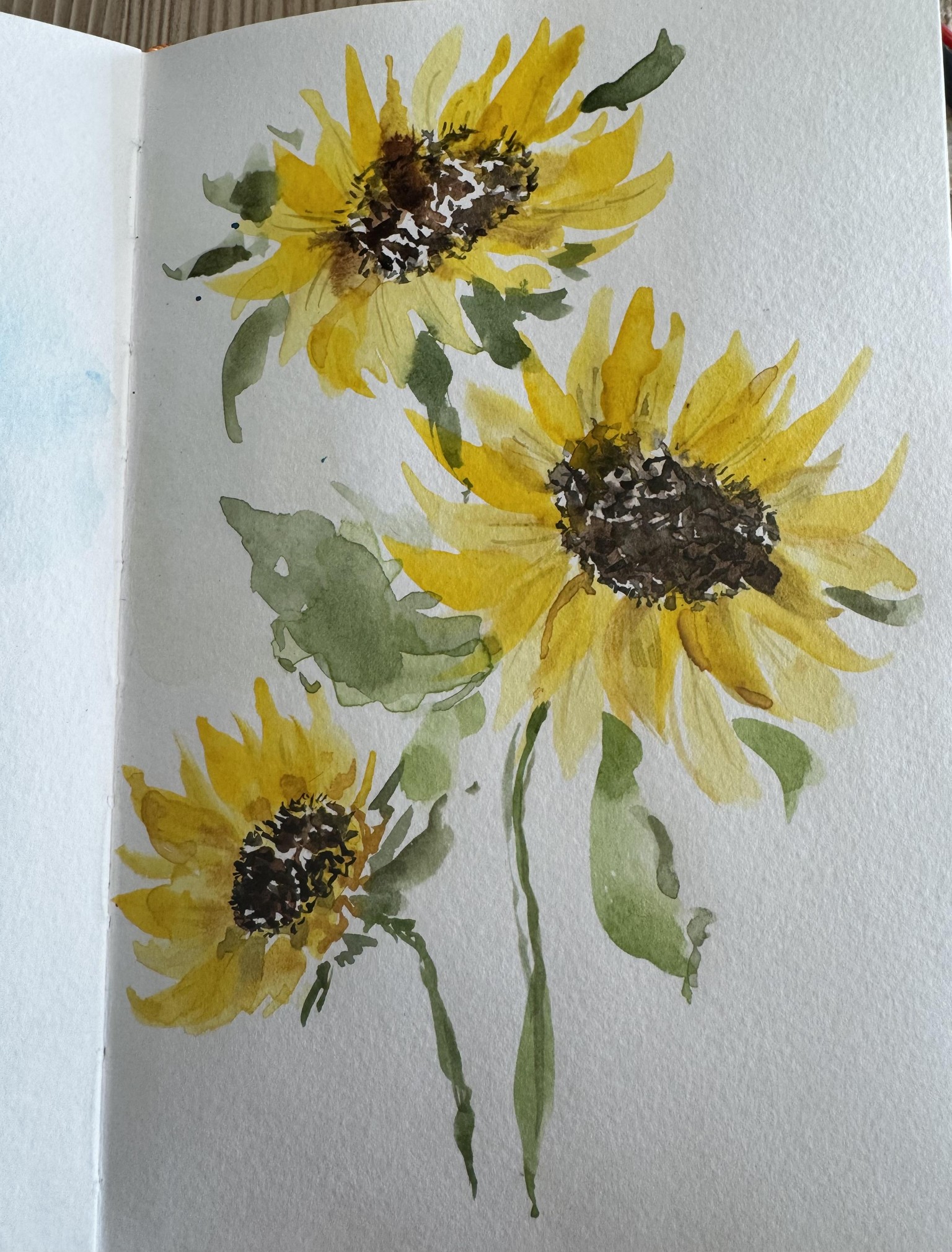 expressive sunflowers - image 1 - student project