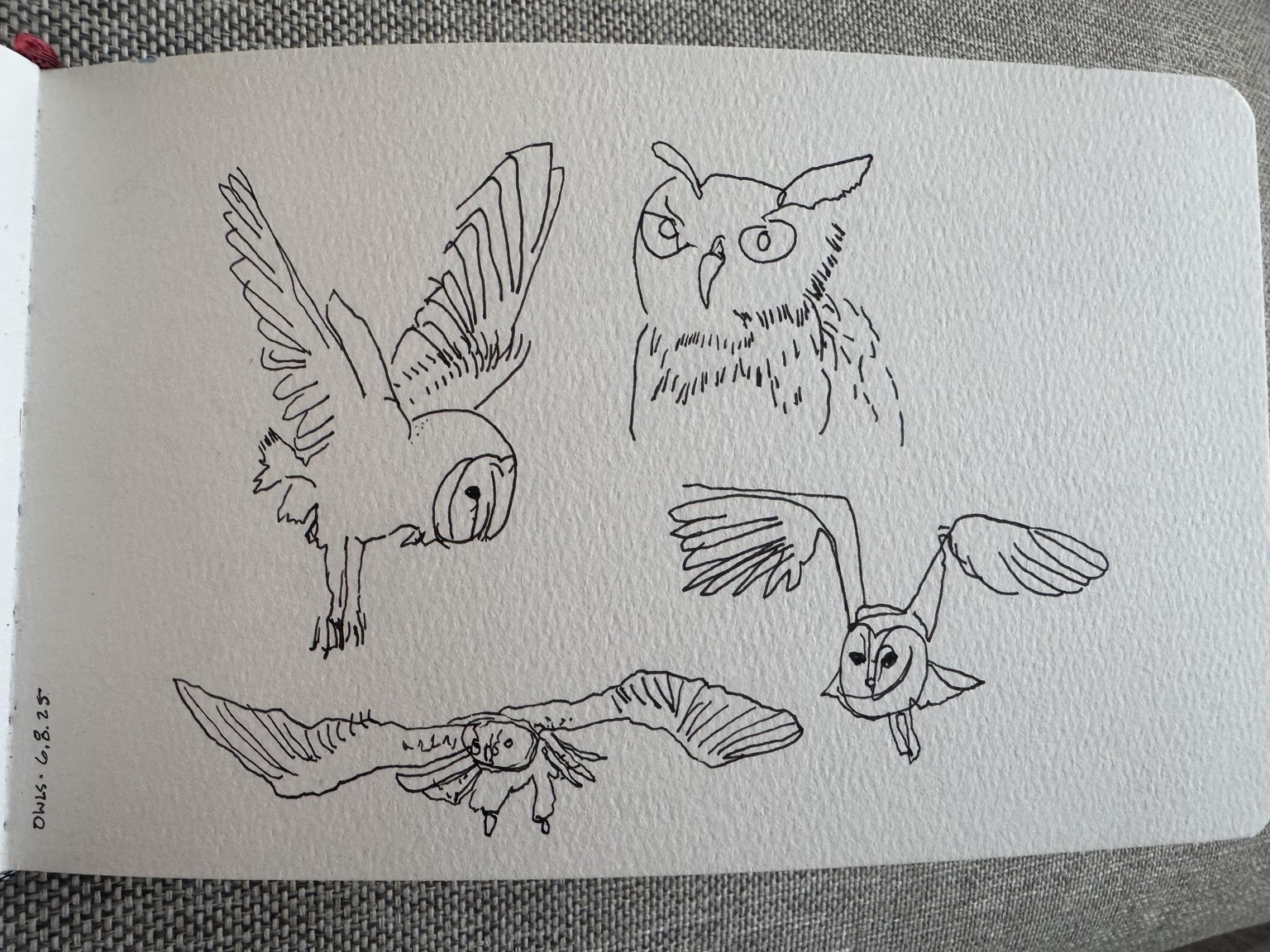 Fun with line drawing - image 1 - student project