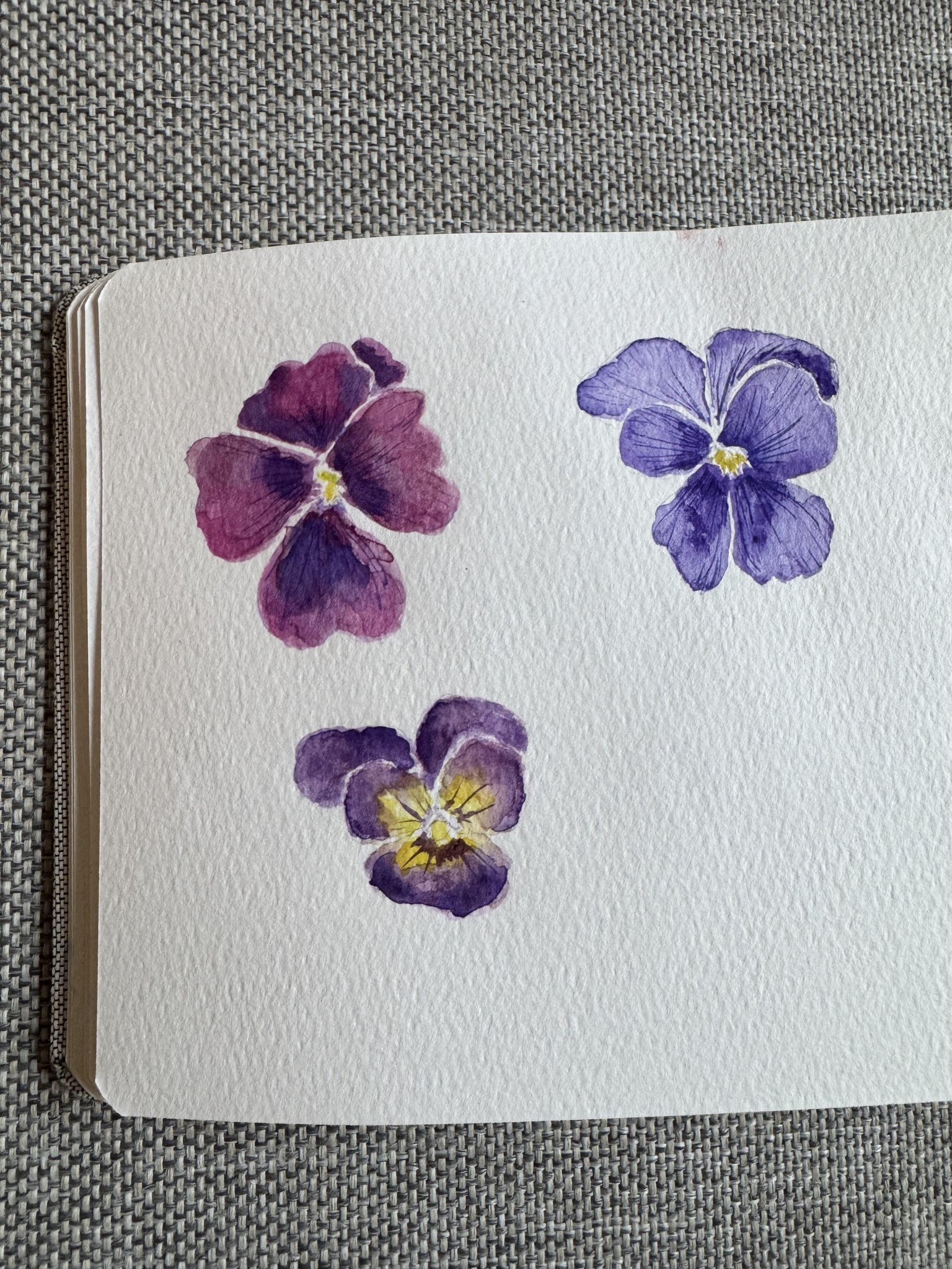 Pansies watercolor practice - image 1 - student project