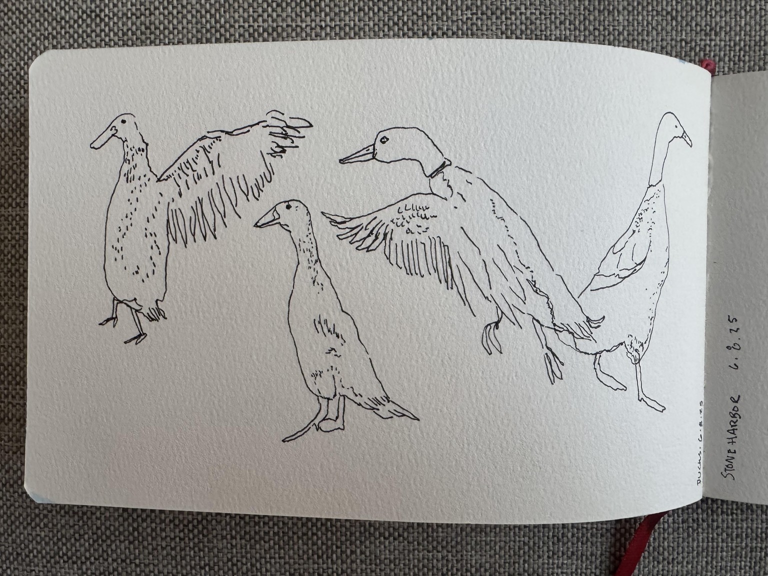 Fun with line drawing - image 3 - student project