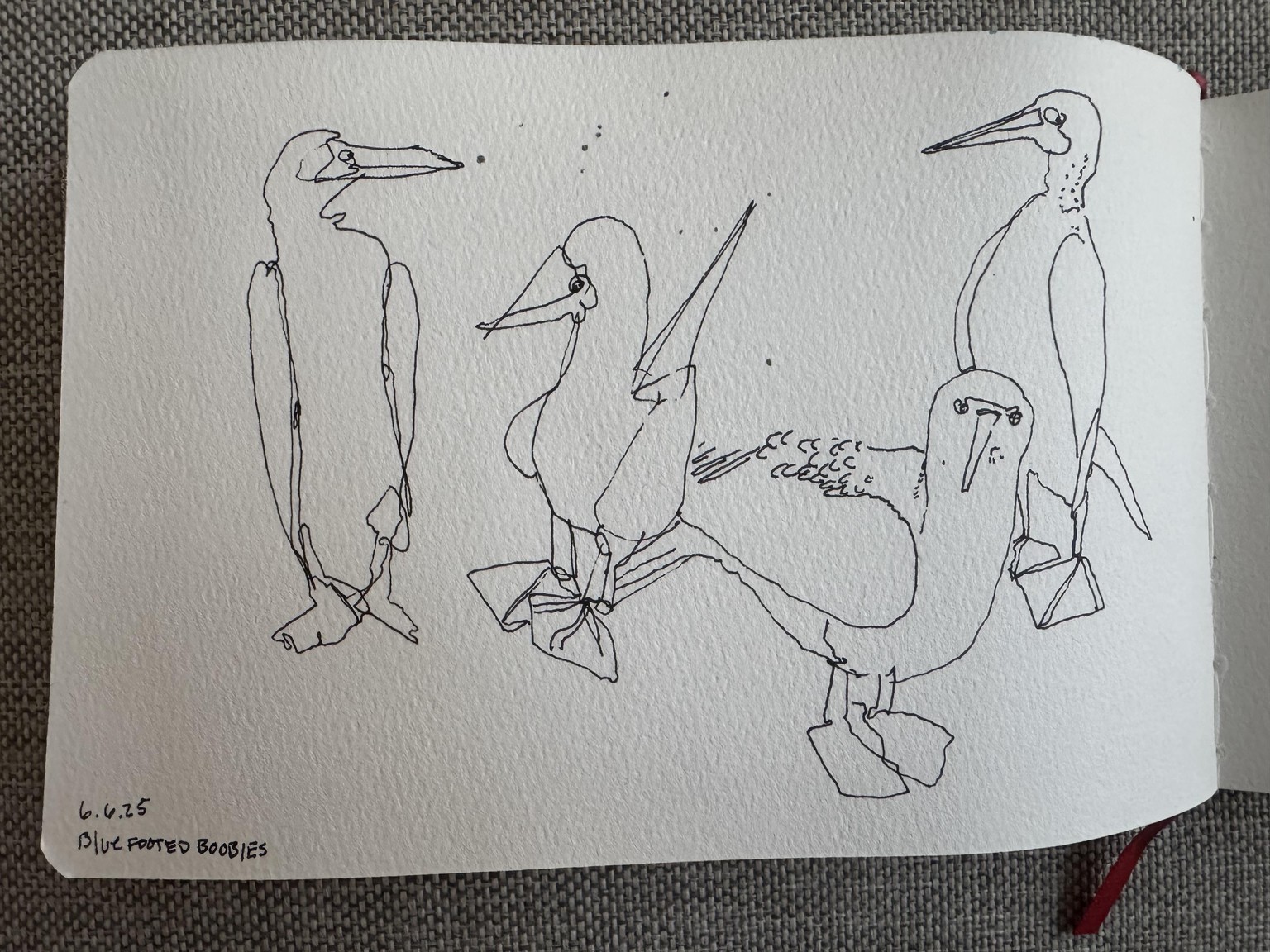 Fun with line drawing - image 4 - student project