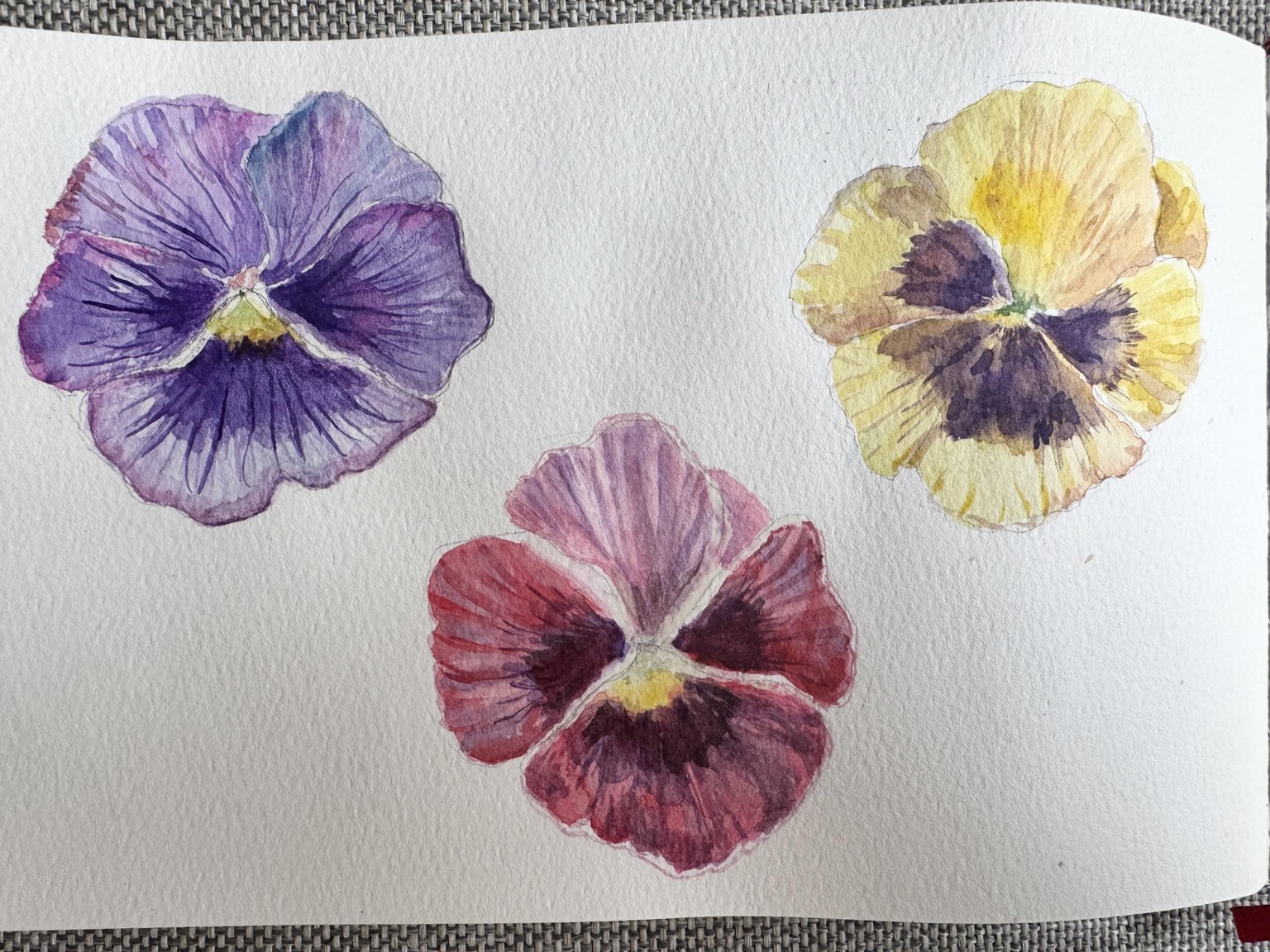 Pansies in watercolor - image 1 - student project