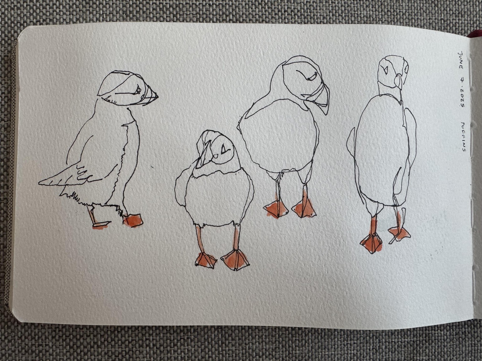Fun with line drawing - image 2 - student project
