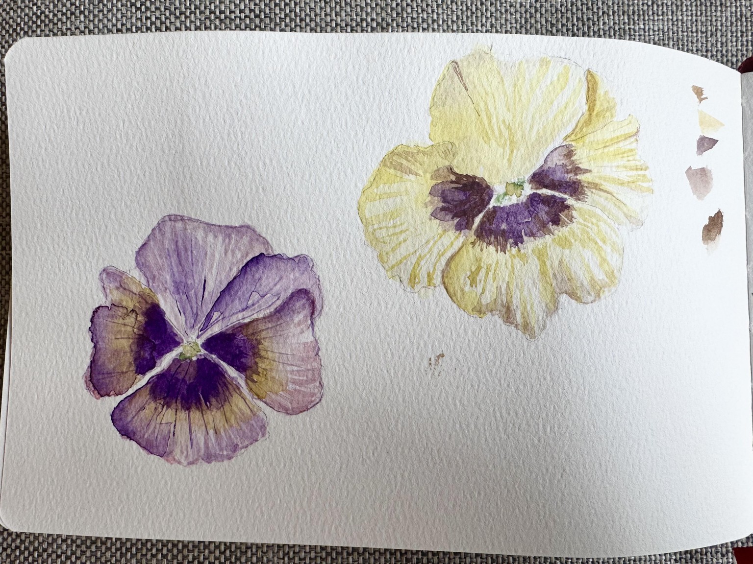 Pansies in watercolor - image 2 - student project