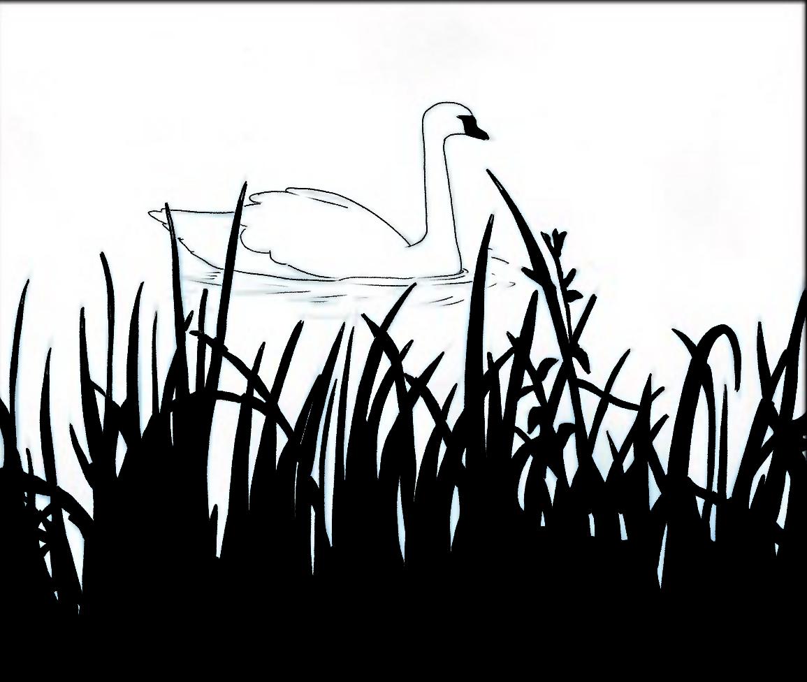 Headless - image 10 - student project