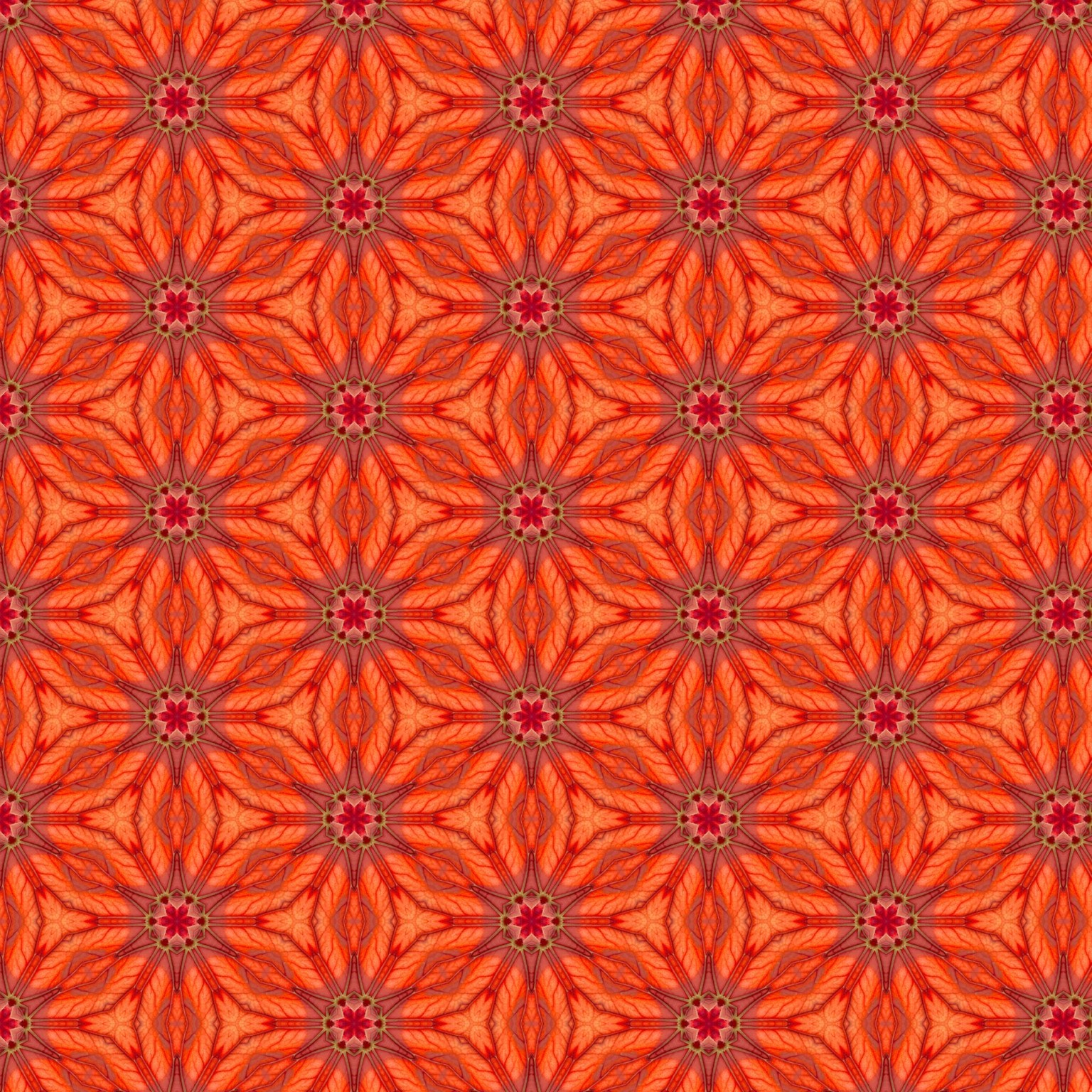 Swatchy - image 2 - student project