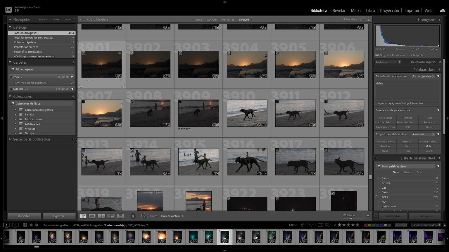 My lightroom organization - image 1 - student project