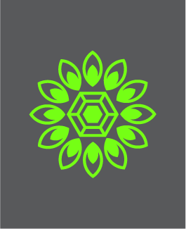 Geometric Logo Construction - image 4 - student project