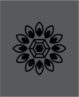 Geometric Logo Construction - image 3 - student project