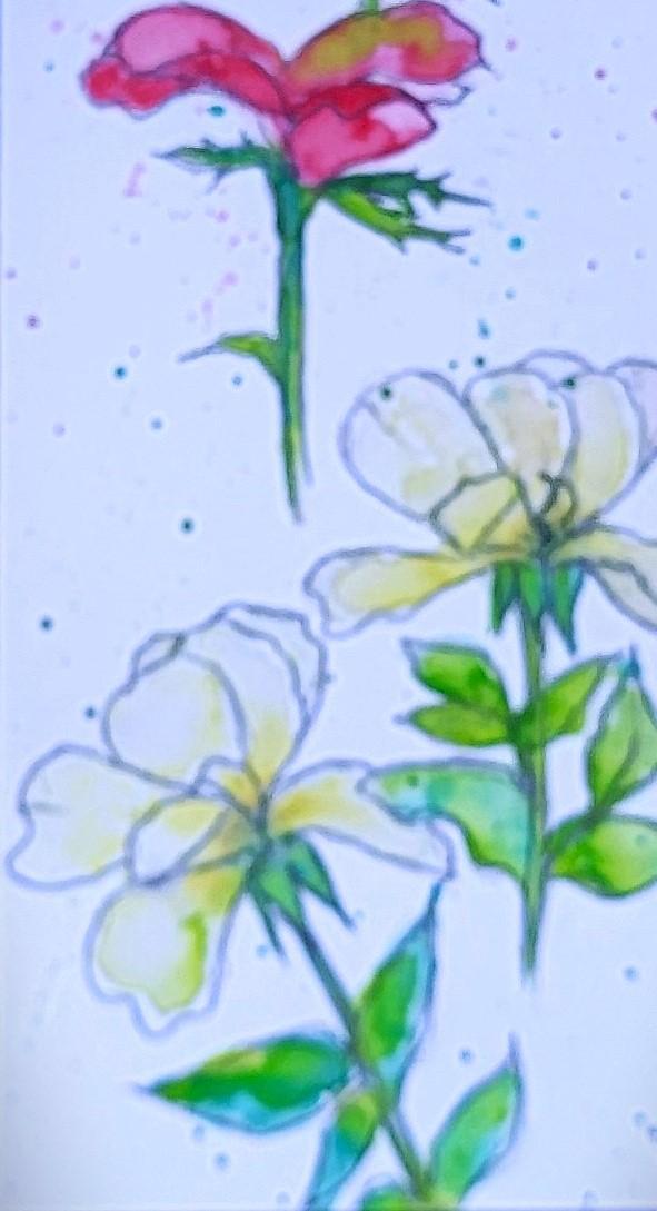 Flowers Feathers Shells Bird - image 15 - student project