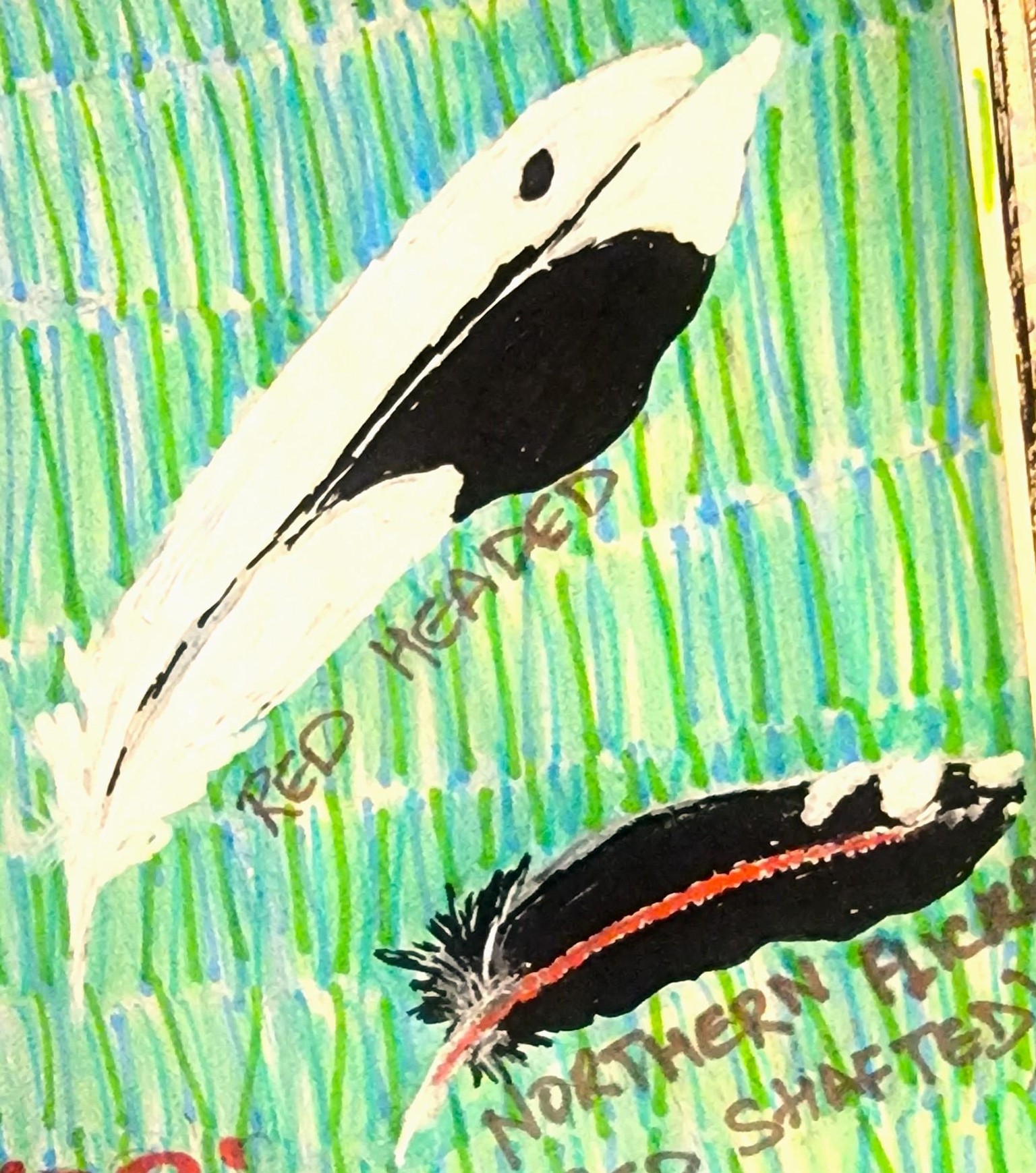 Flowers Feathers Shells Bird - image 14 - student project