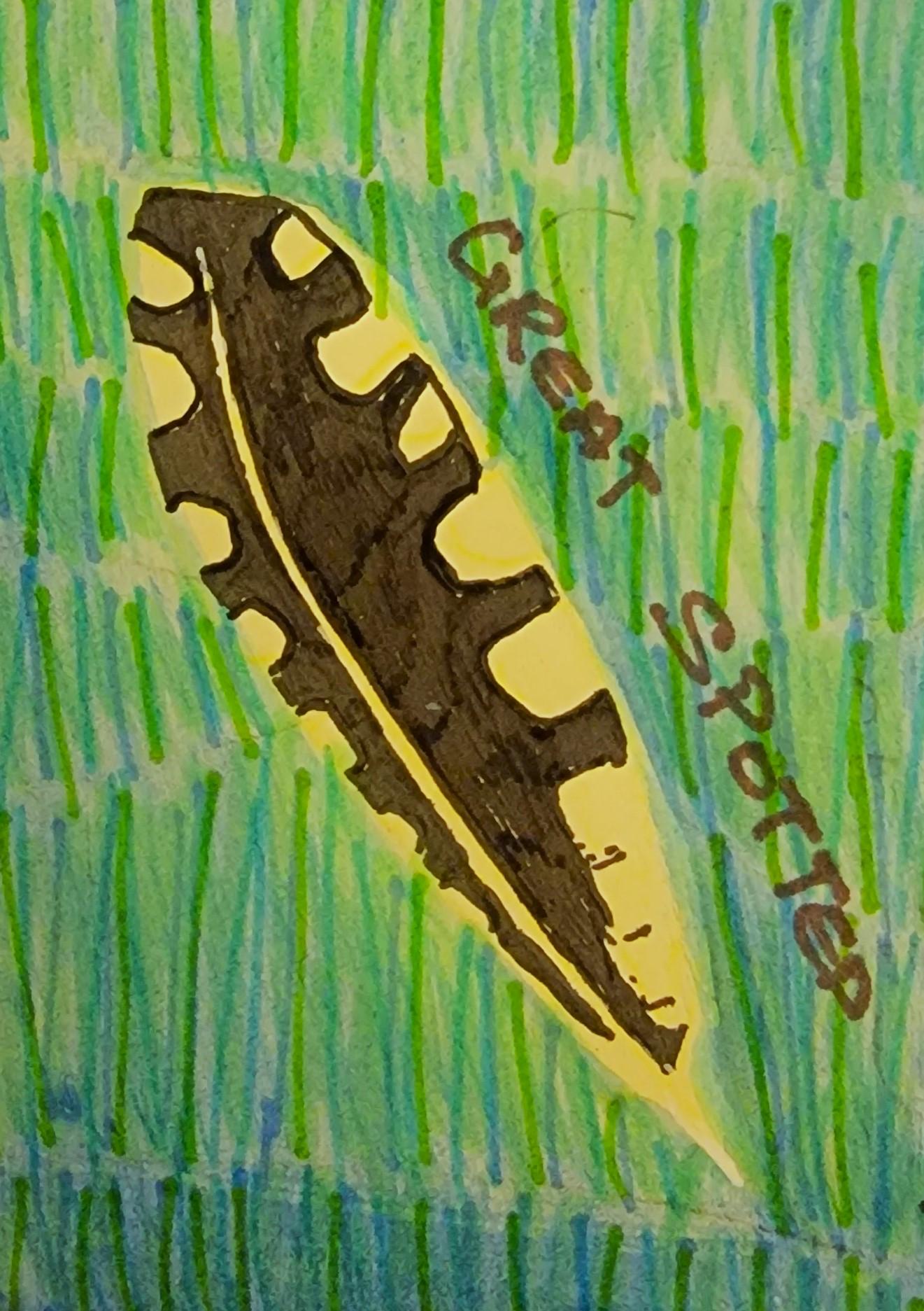 Flowers Feathers Shells Bird - image 9 - student project