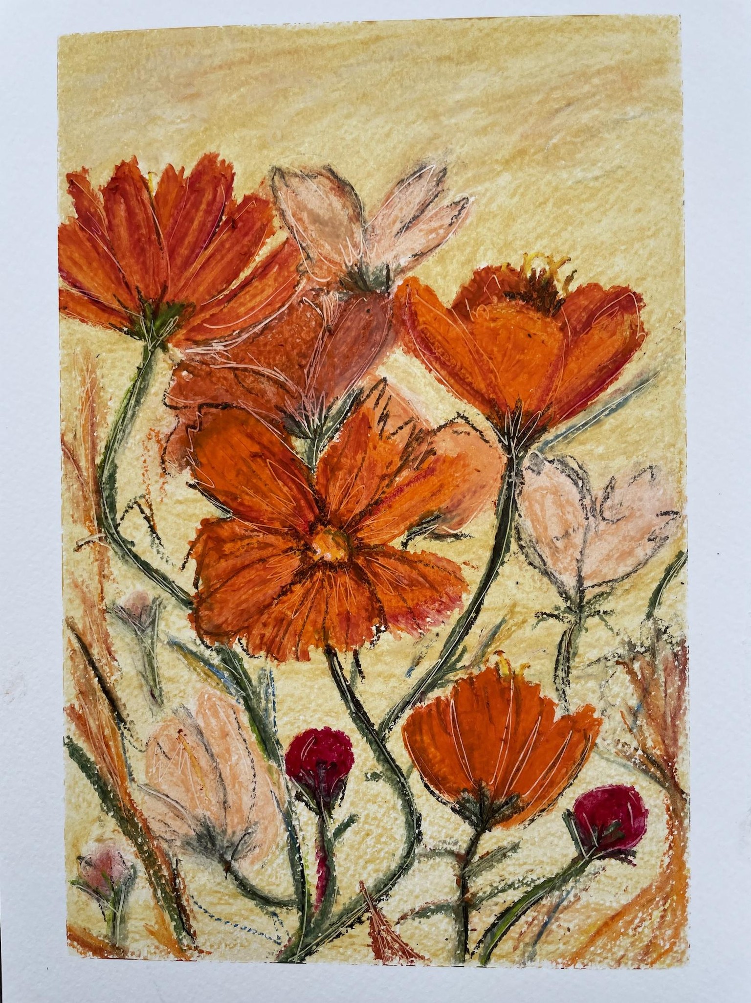 Poppies - image 1 - student project