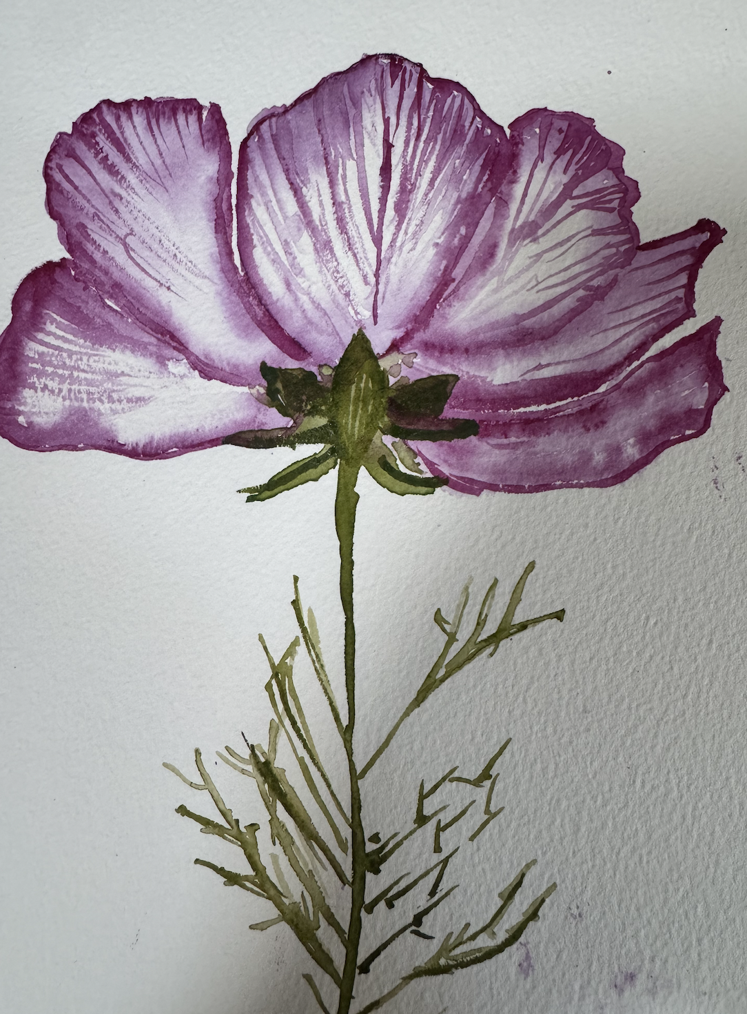 Poppy by a beginner - image 1 - student project