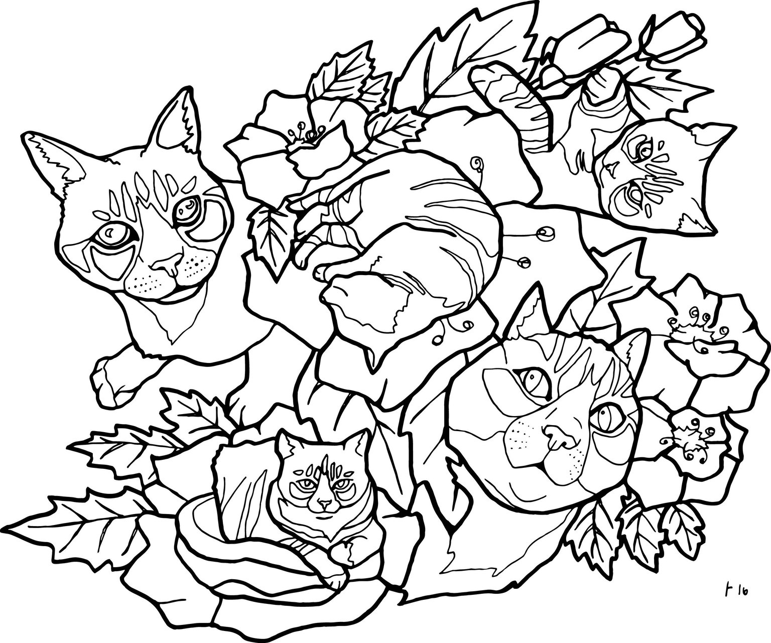 The cat - image 1 - student project