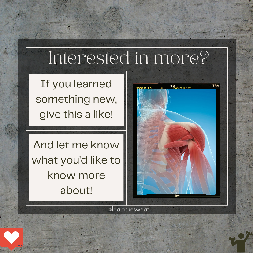 Fitness Educational Post Carousel - image 8 - student project