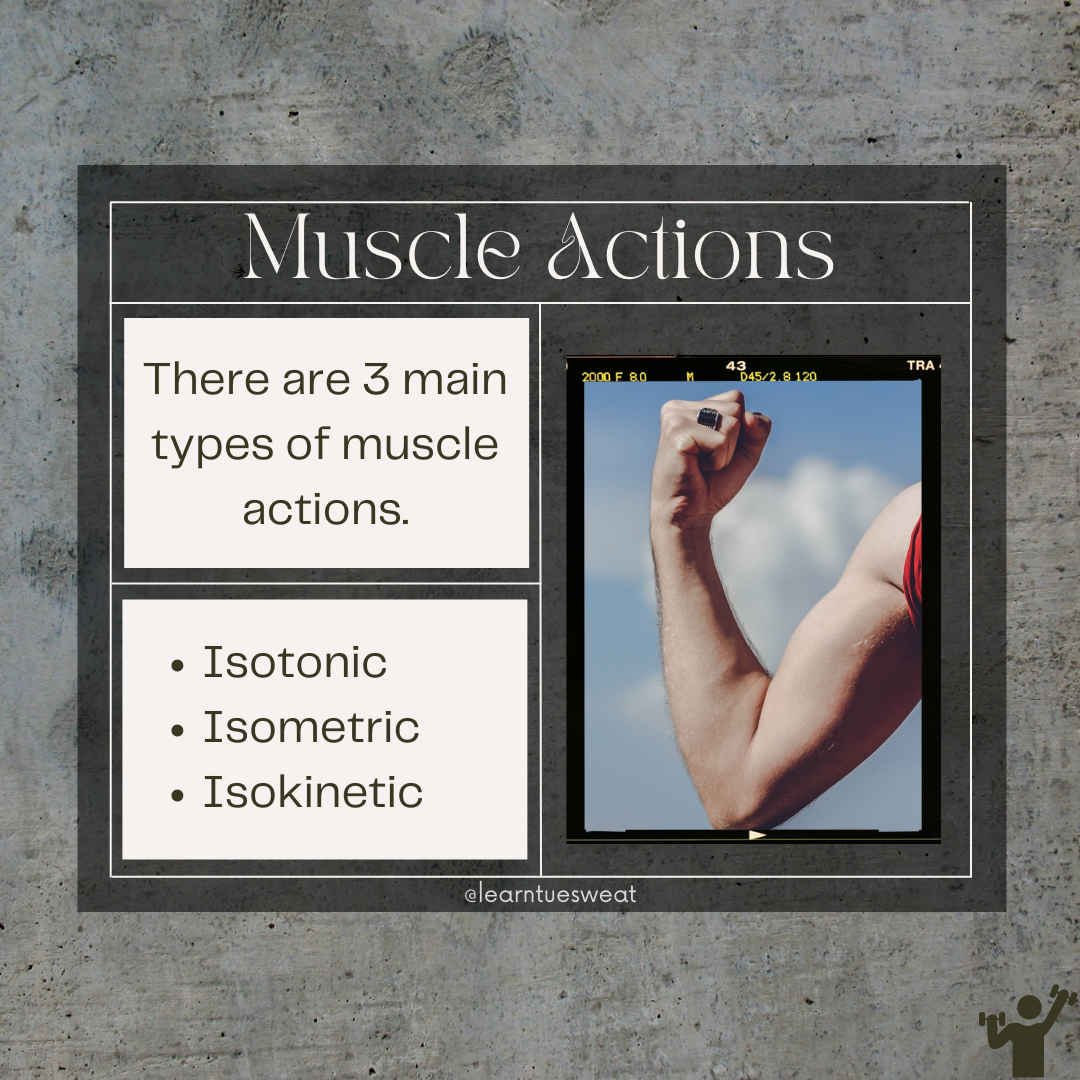 Fitness Educational Post Carousel - image 1 - student project