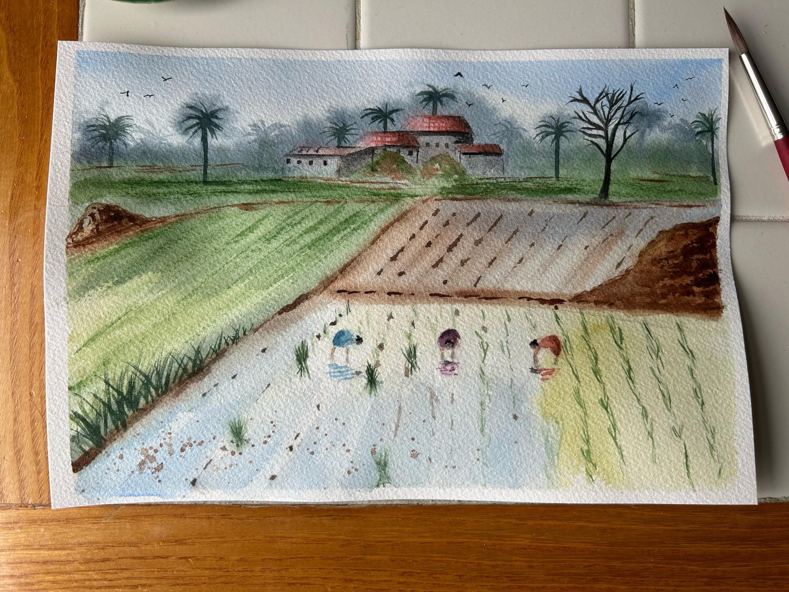 Monsoon Fields - image 1 - student project