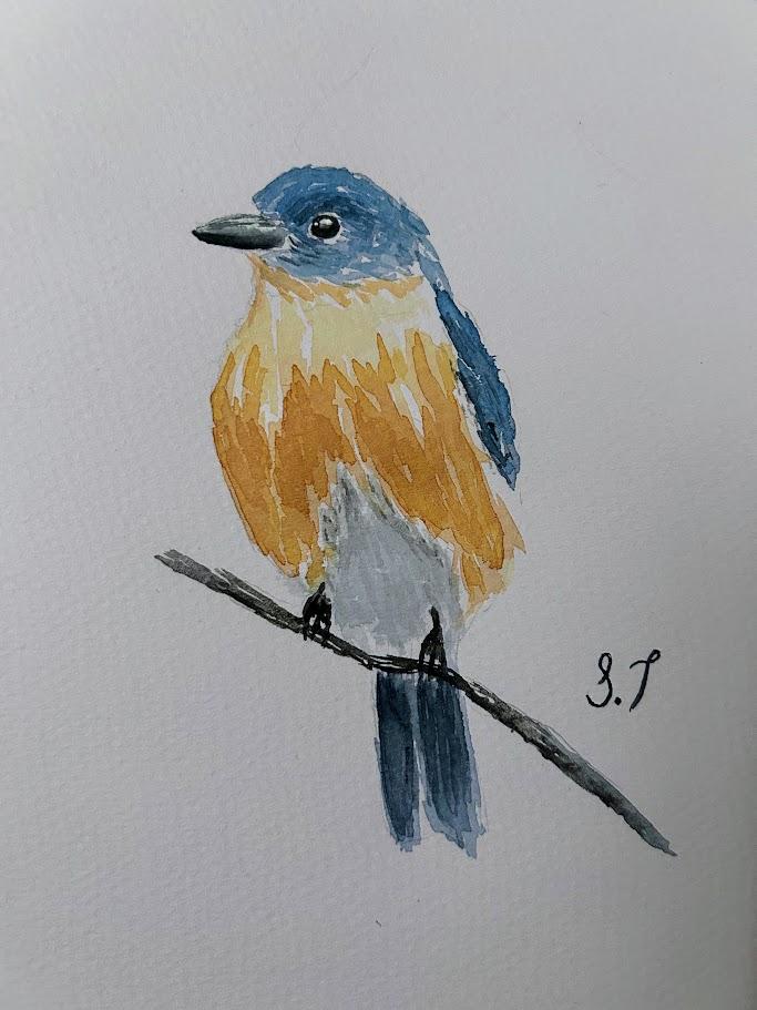 Loose and Expressive Birds - image 2 - student project