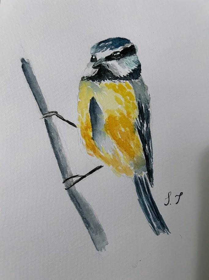 Loose and Expressive Birds - image 1 - student project