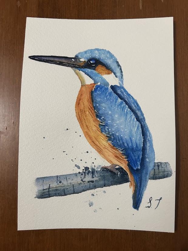Kingfisher - image 1 - student project