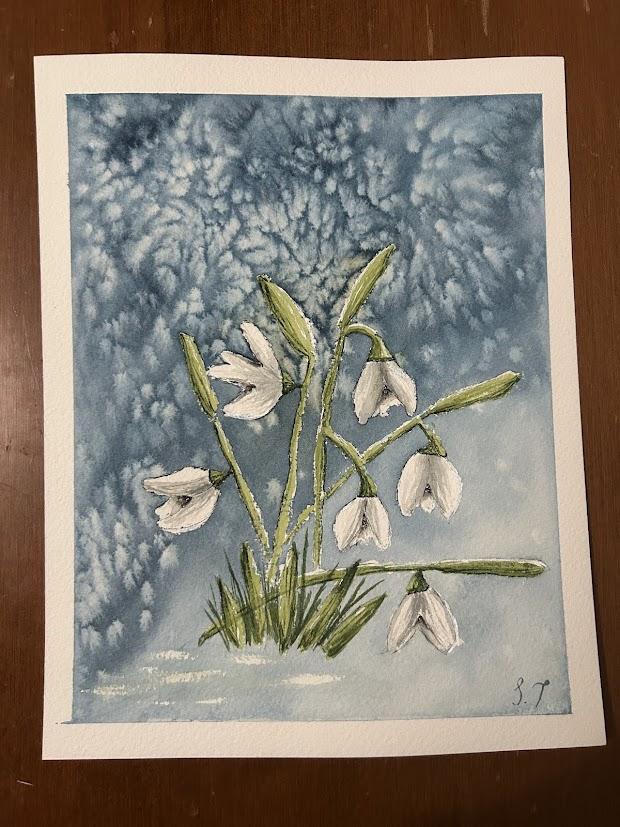 Watercolor Salt Effects - image 3 - student project