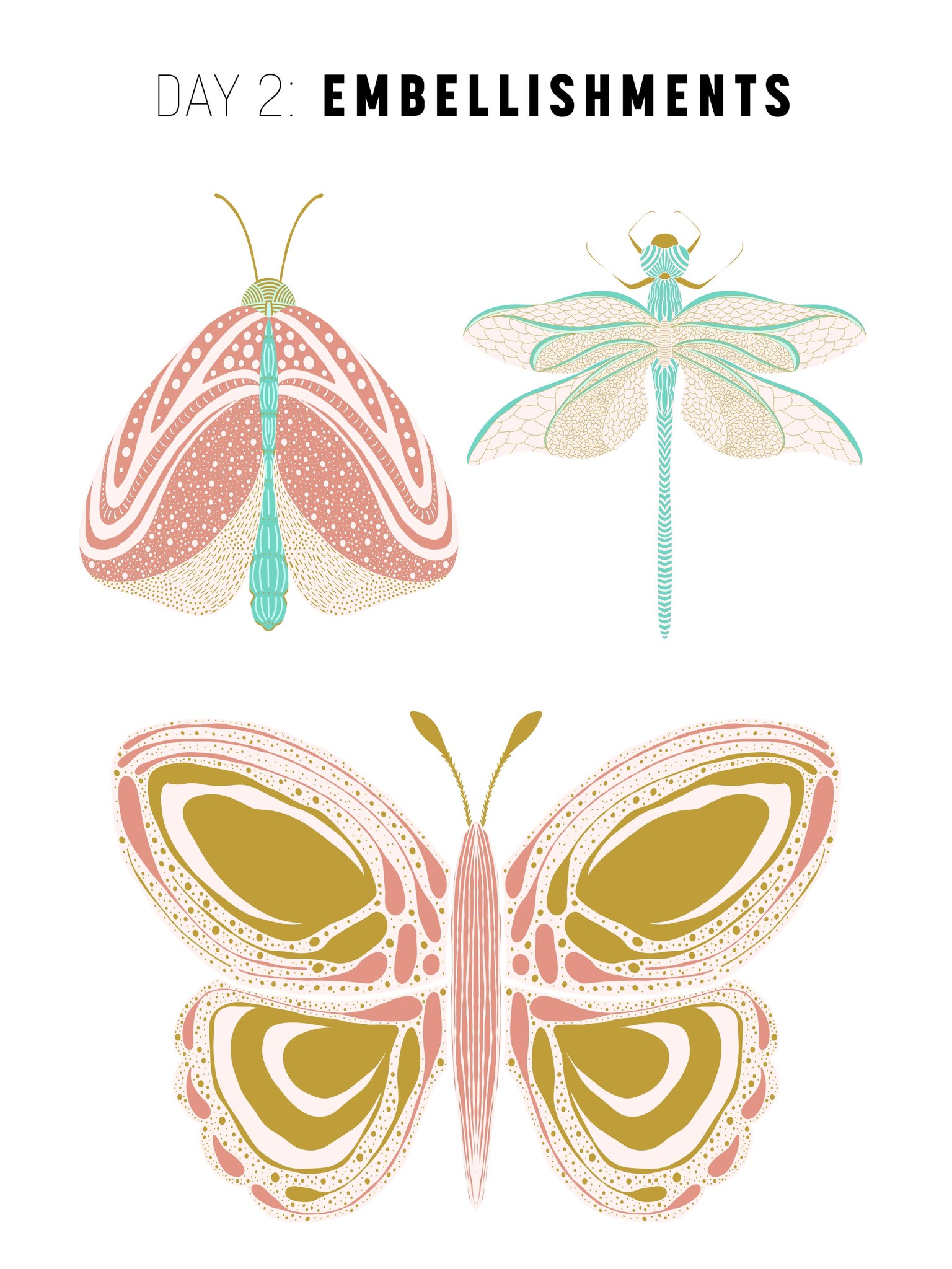 5 Day Challenge Projects - image 2 - student project