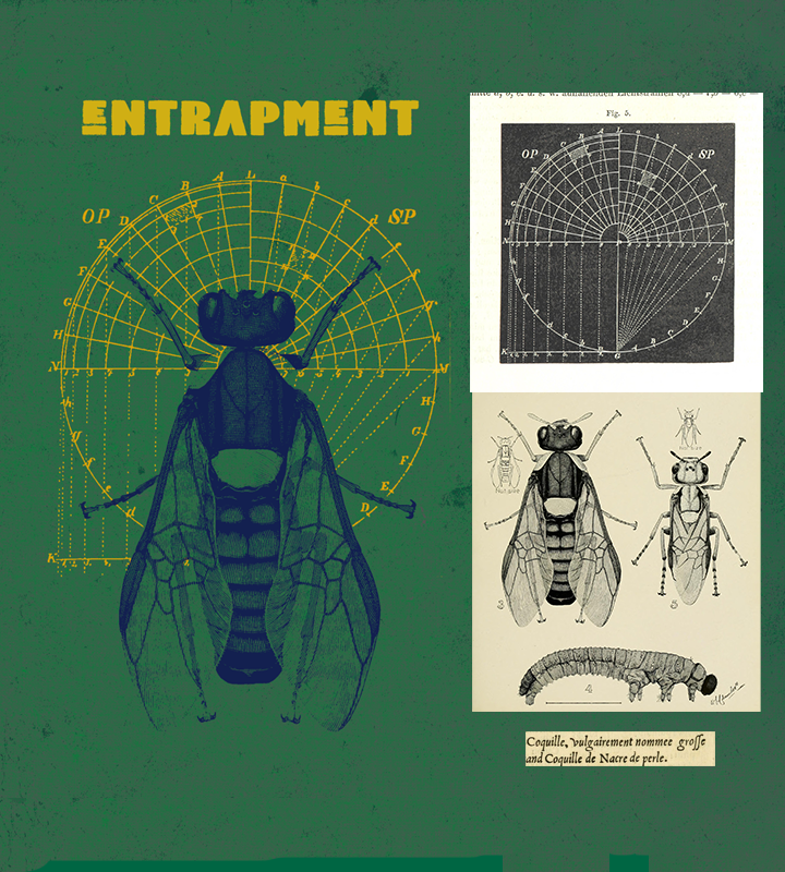 Entrapment - image 1 - student project