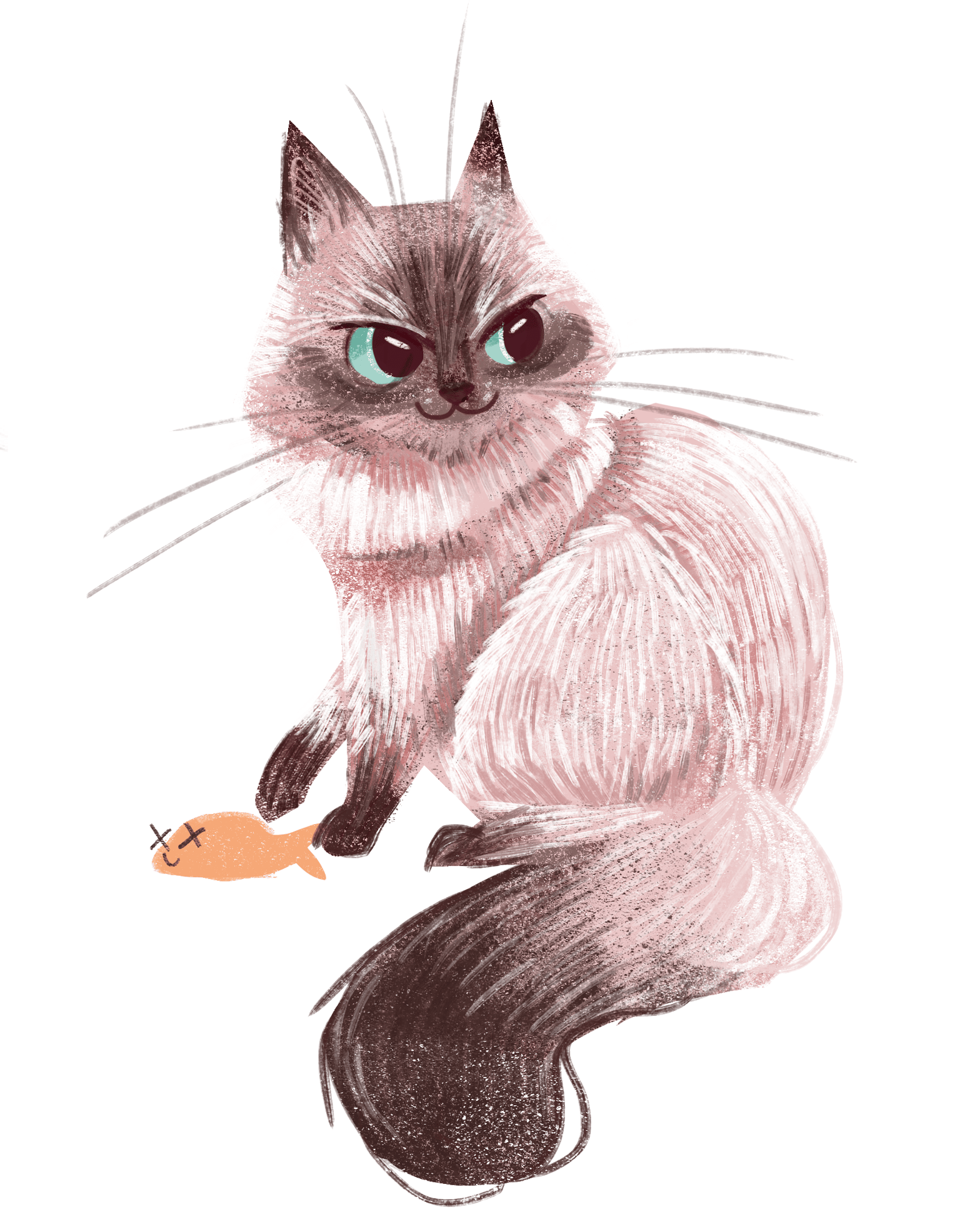 Cat - image 1 - student project
