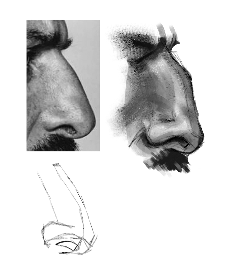 Nose practice - image 2 - student project