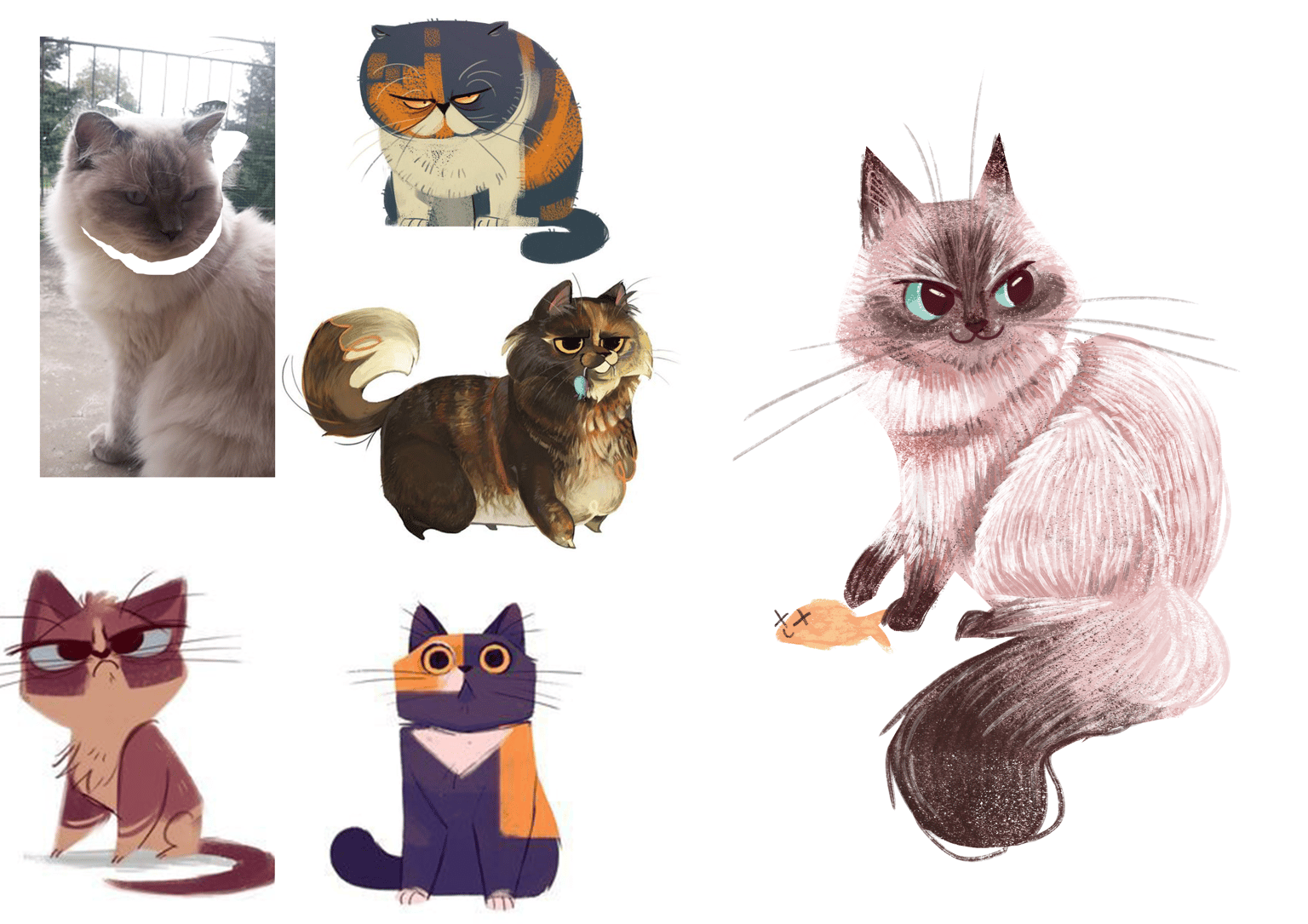 Cat - image 2 - student project