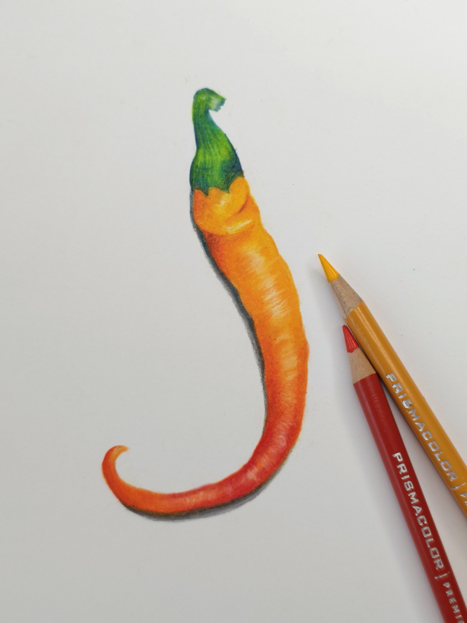 Chilli Drawing - image 2 - student project
