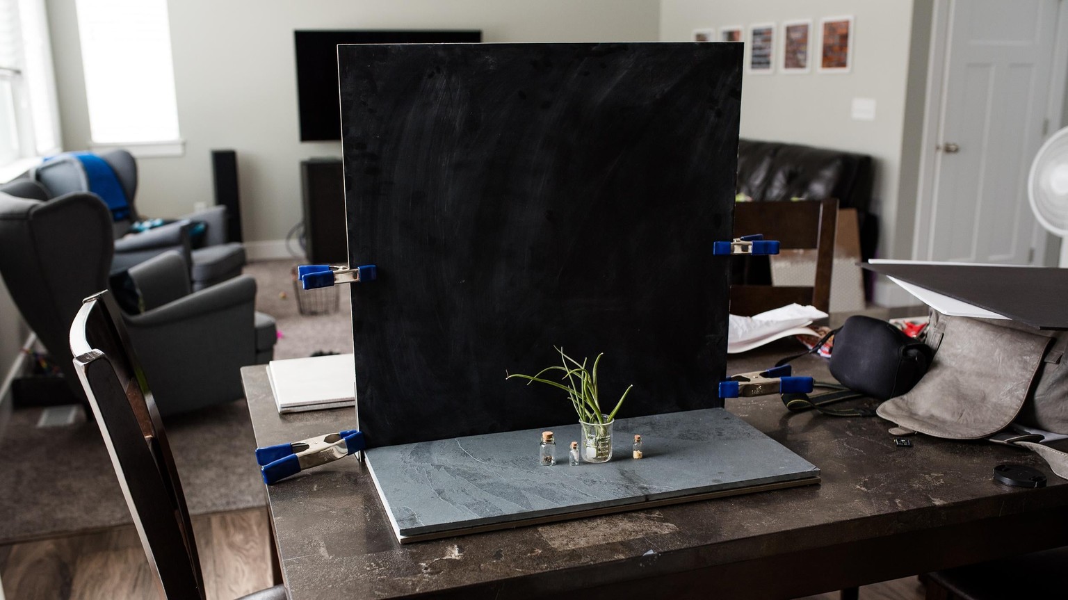 DIY Backdrops - image 2 - student project