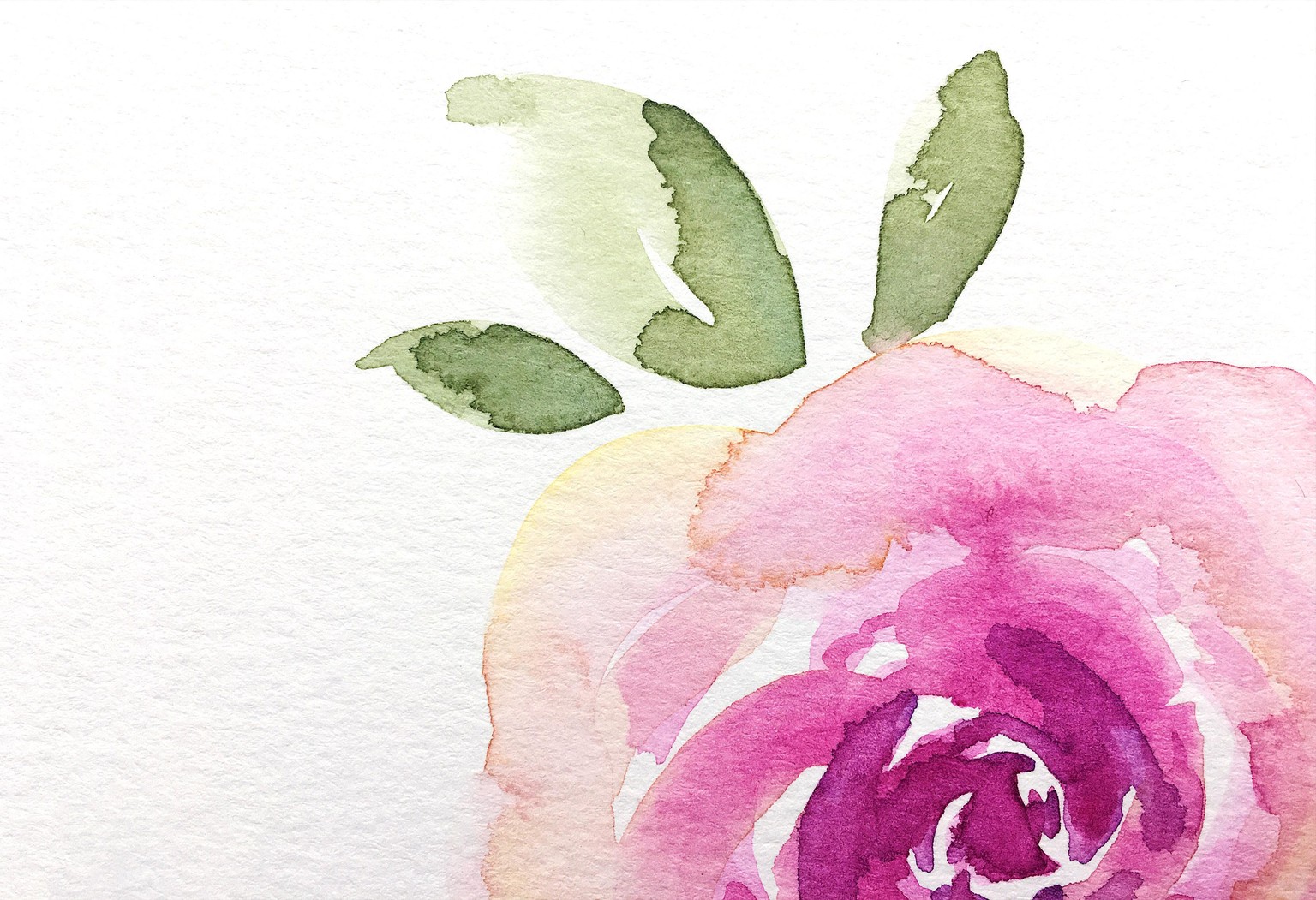 Roses and Rosemary - image 2 - student project