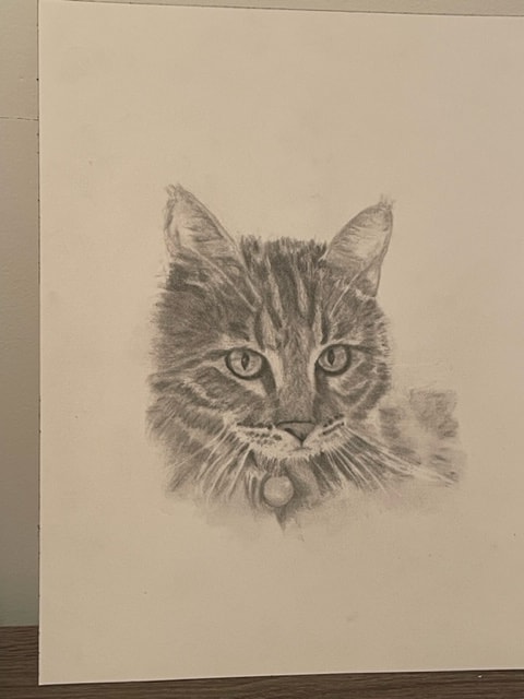 scout - image 1 - student project