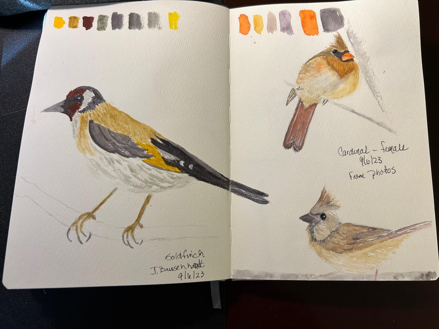 Bird Sketches - image 1 - student project