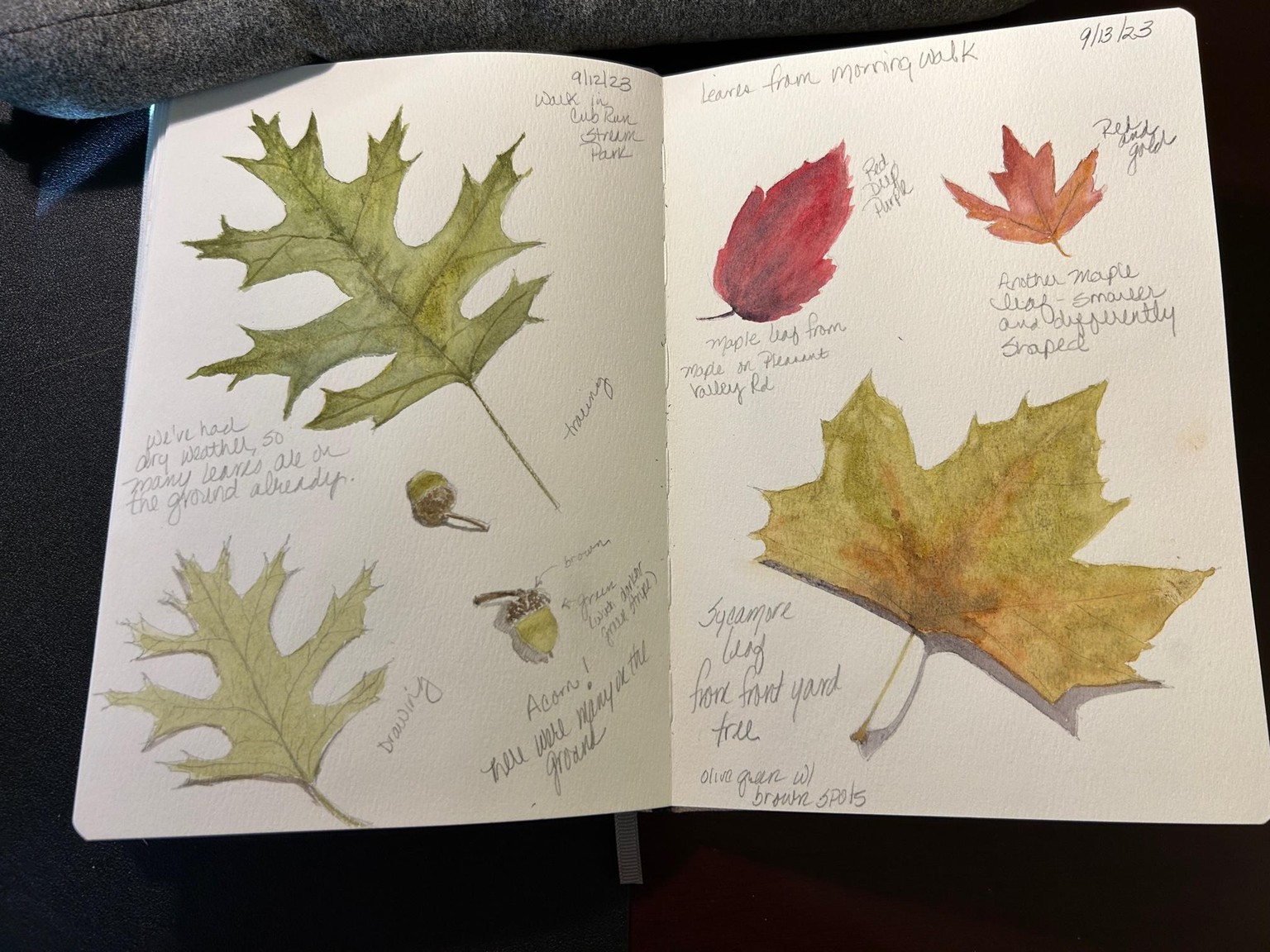 Sketchbook Pages - Summer - image 2 - student project